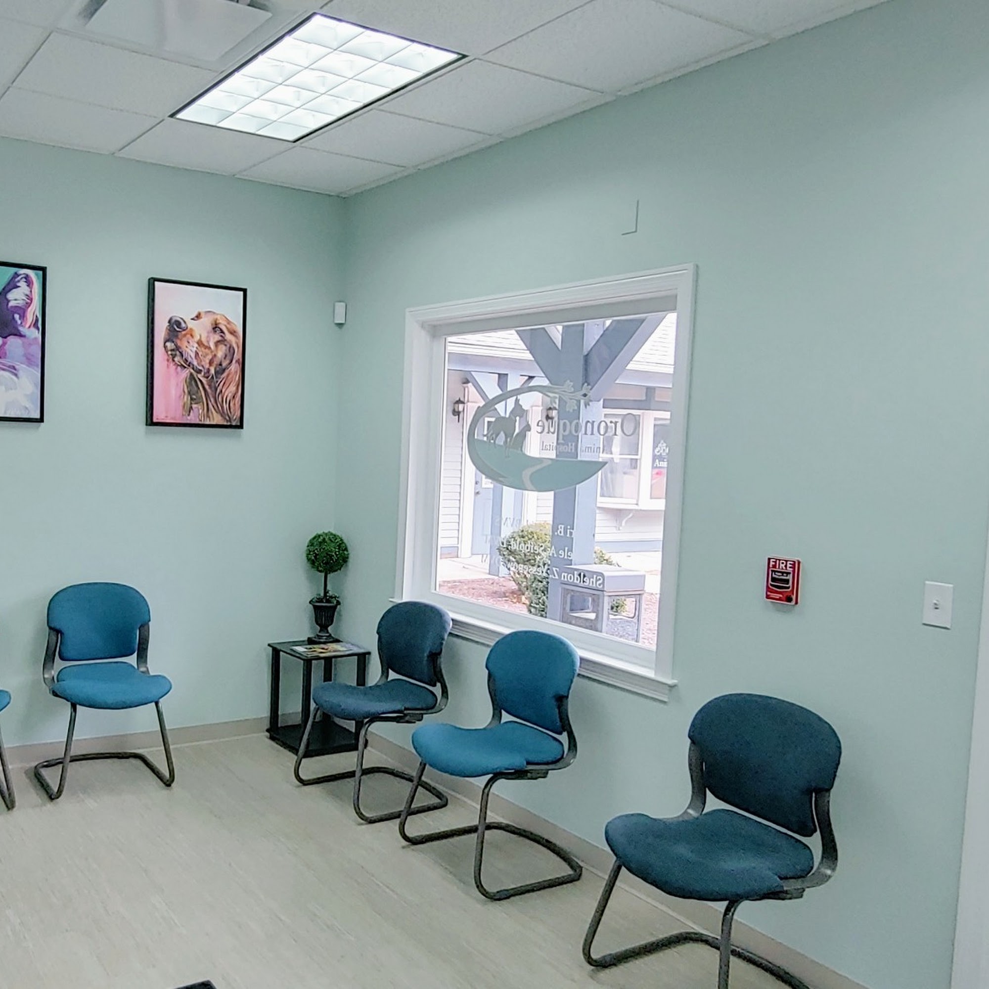 Oronoque Animal Hospital Stratford