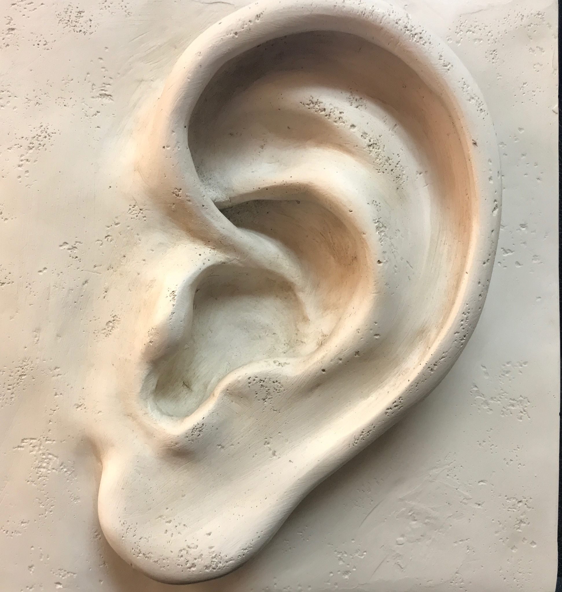 Precision Hearing Specialists