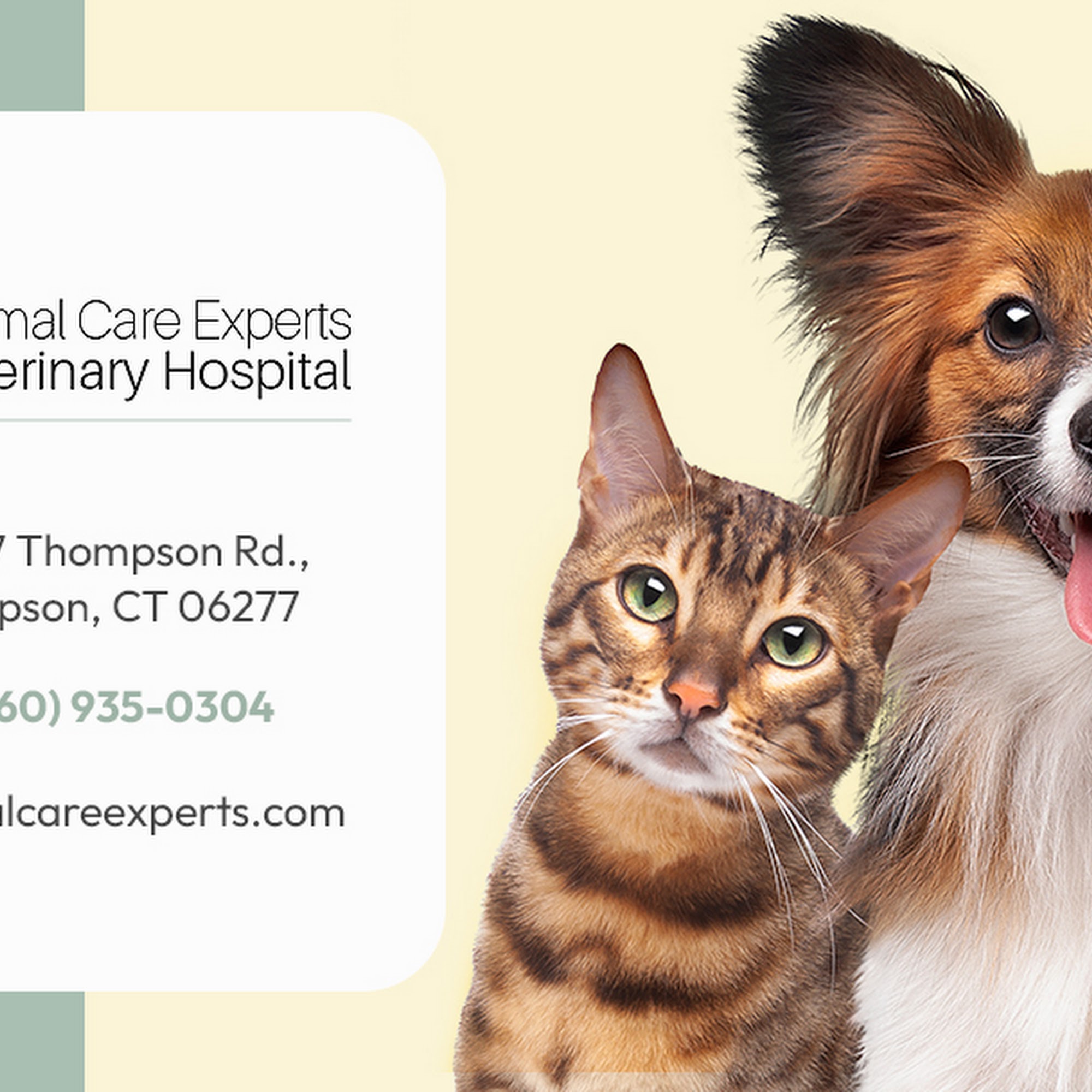 Animal Care Experts Veterinary Hospital Thompson