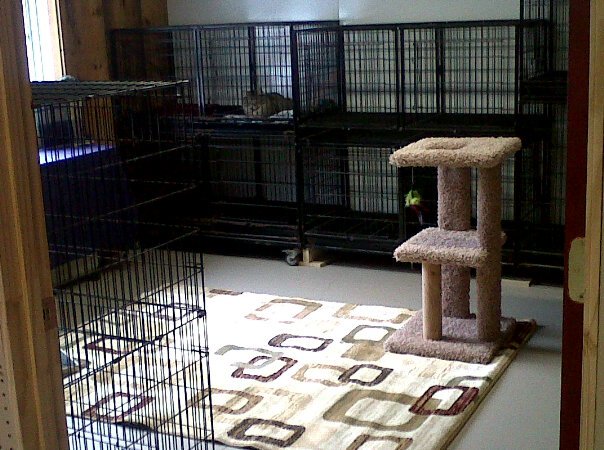 Morning Star Farm Pet Resort Thompson