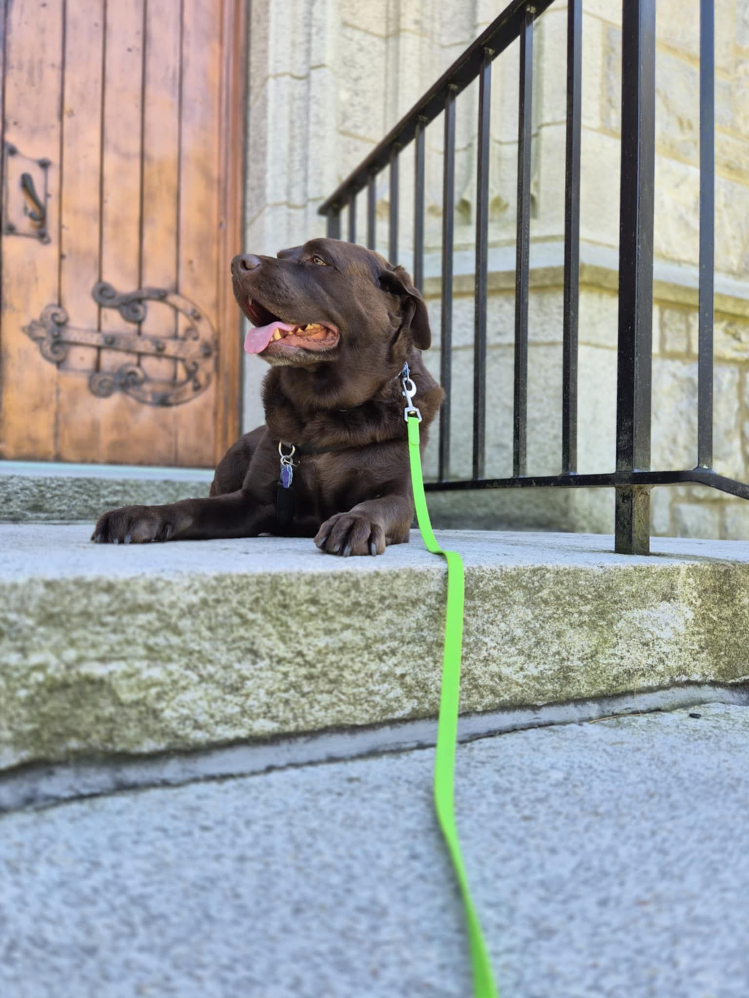 Happy Hound DayCare Torrington