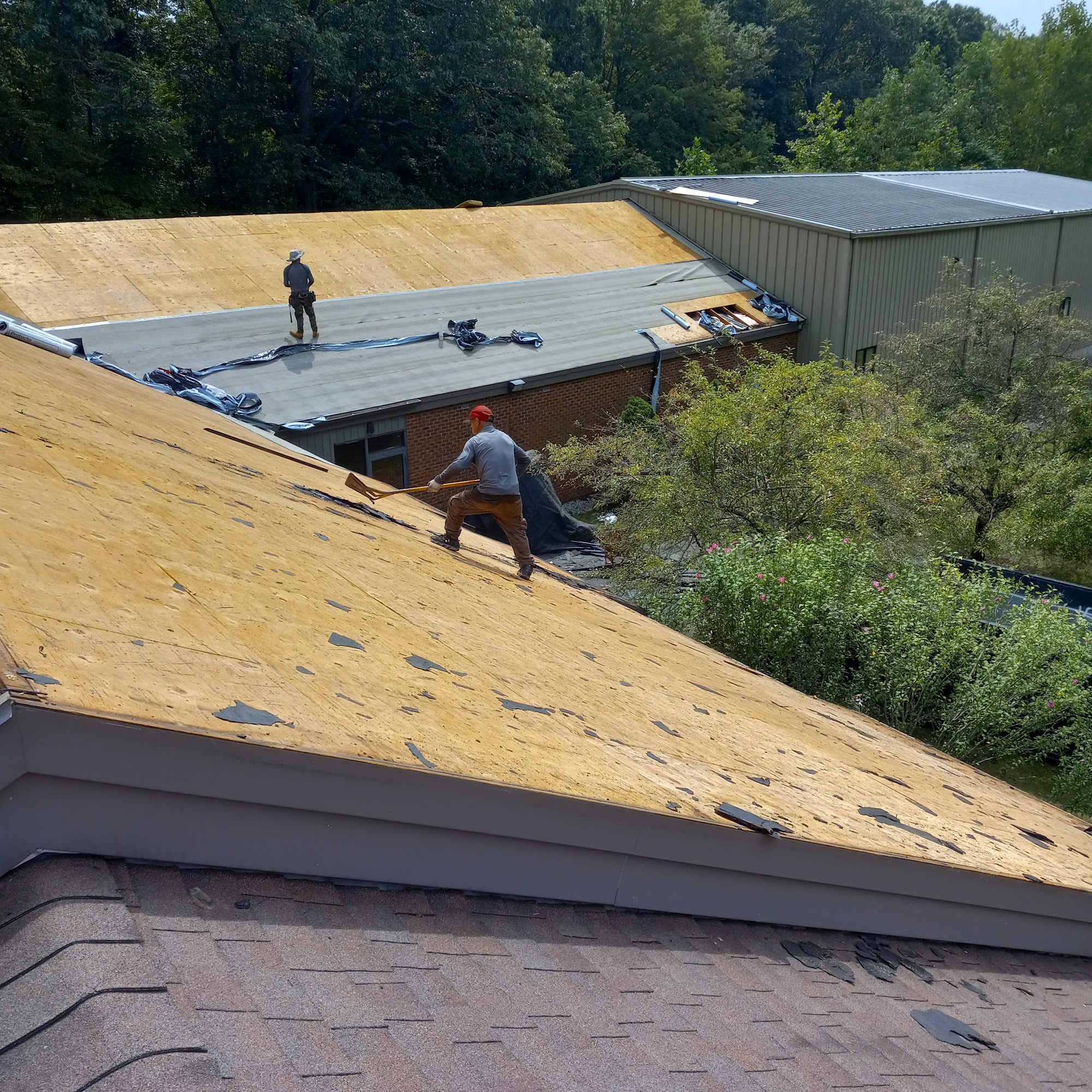 Specialty Components Inc. Wallingford