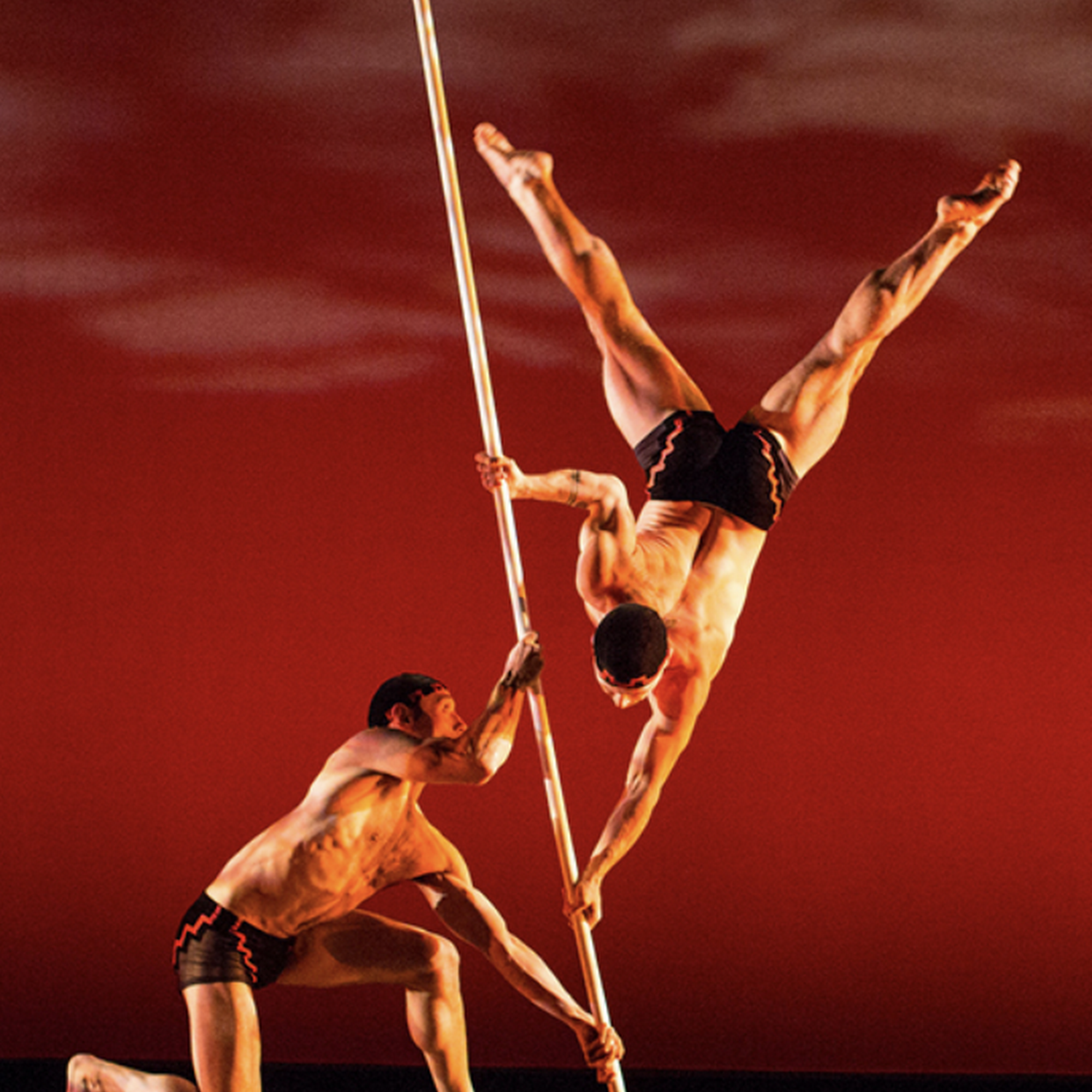 Momix Inc Washington