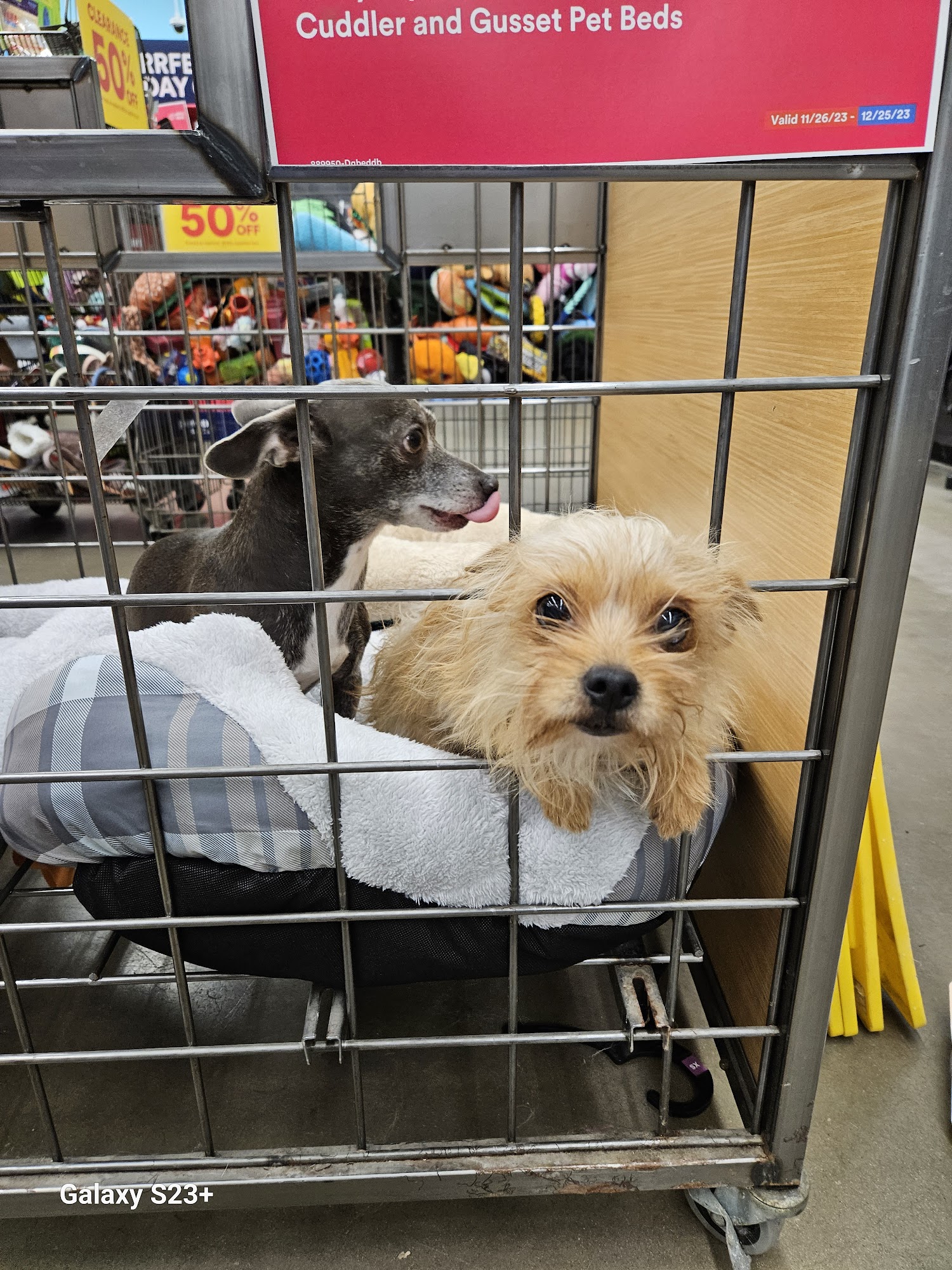 Petco Waterbury