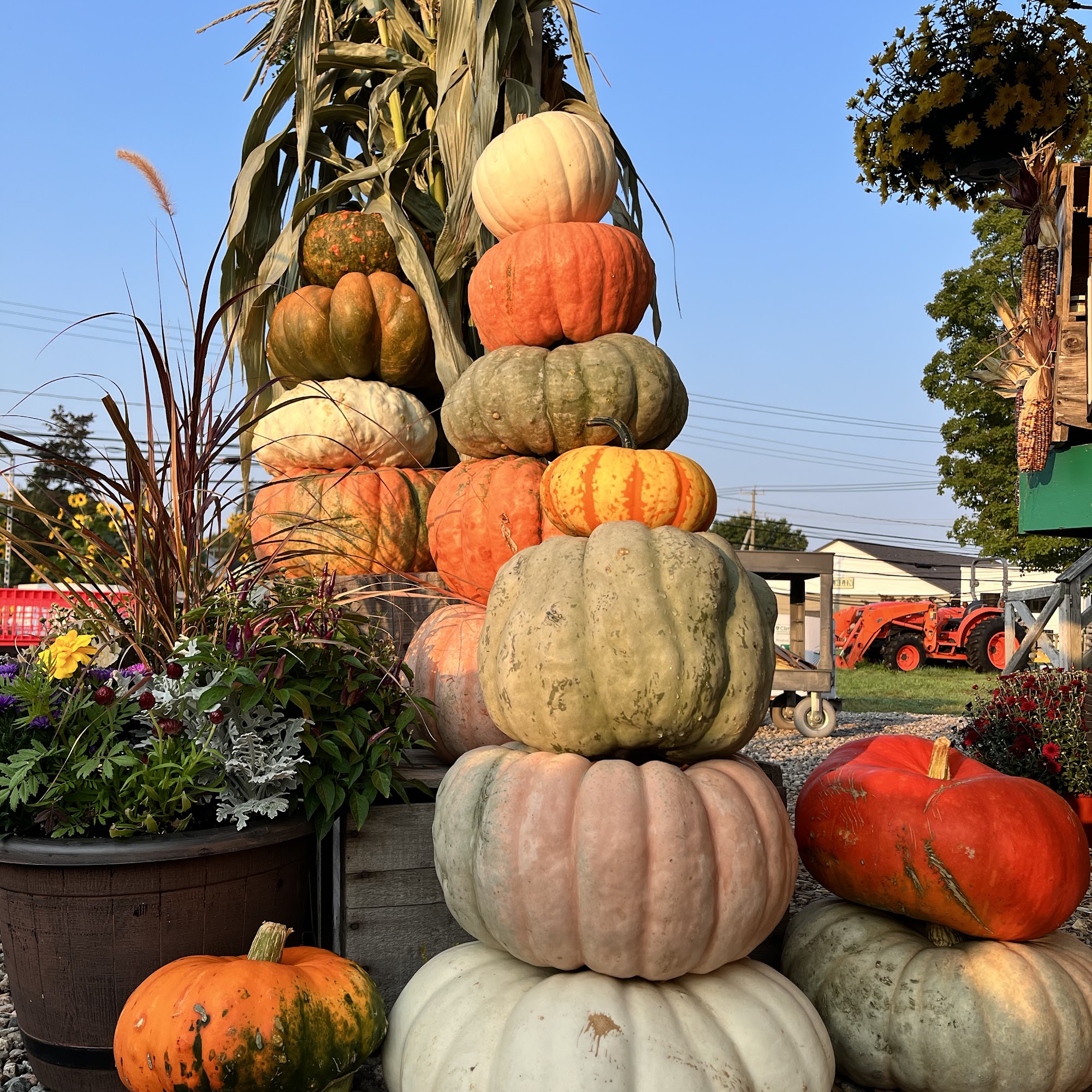 Scotts' Farm & Garden Waterford