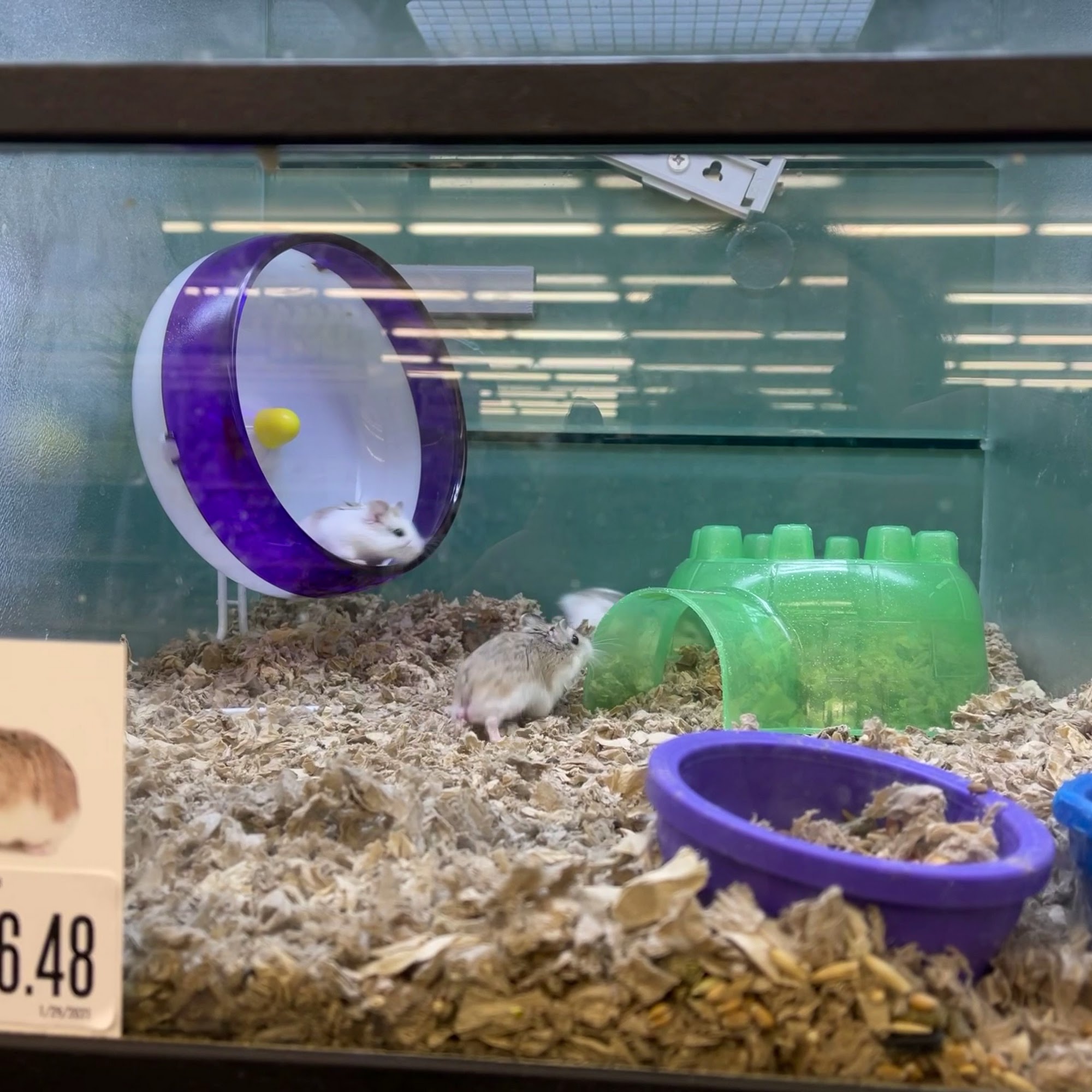 Pet Supplies Plus West Hartford West Hartford