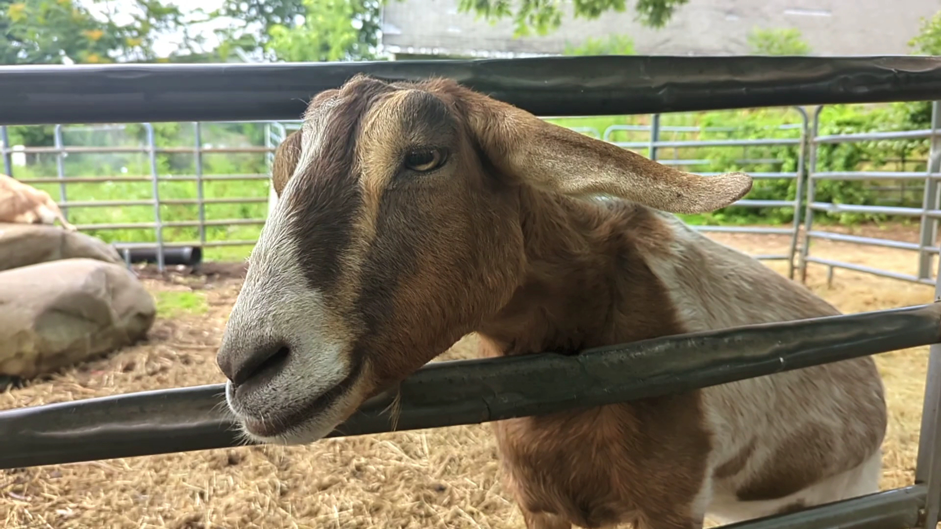 B & B Flower Farm Menu
