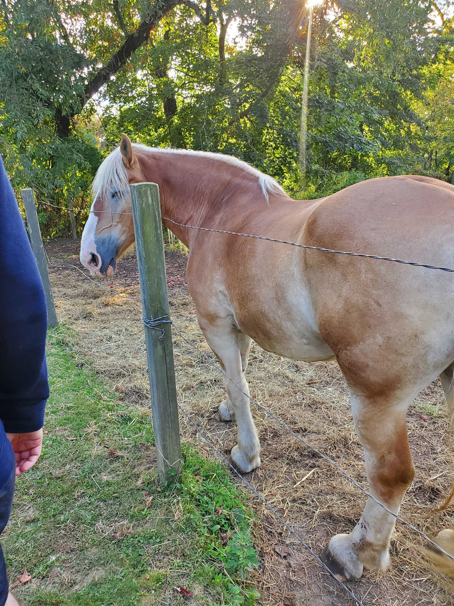 B & B Flower Farm Menu