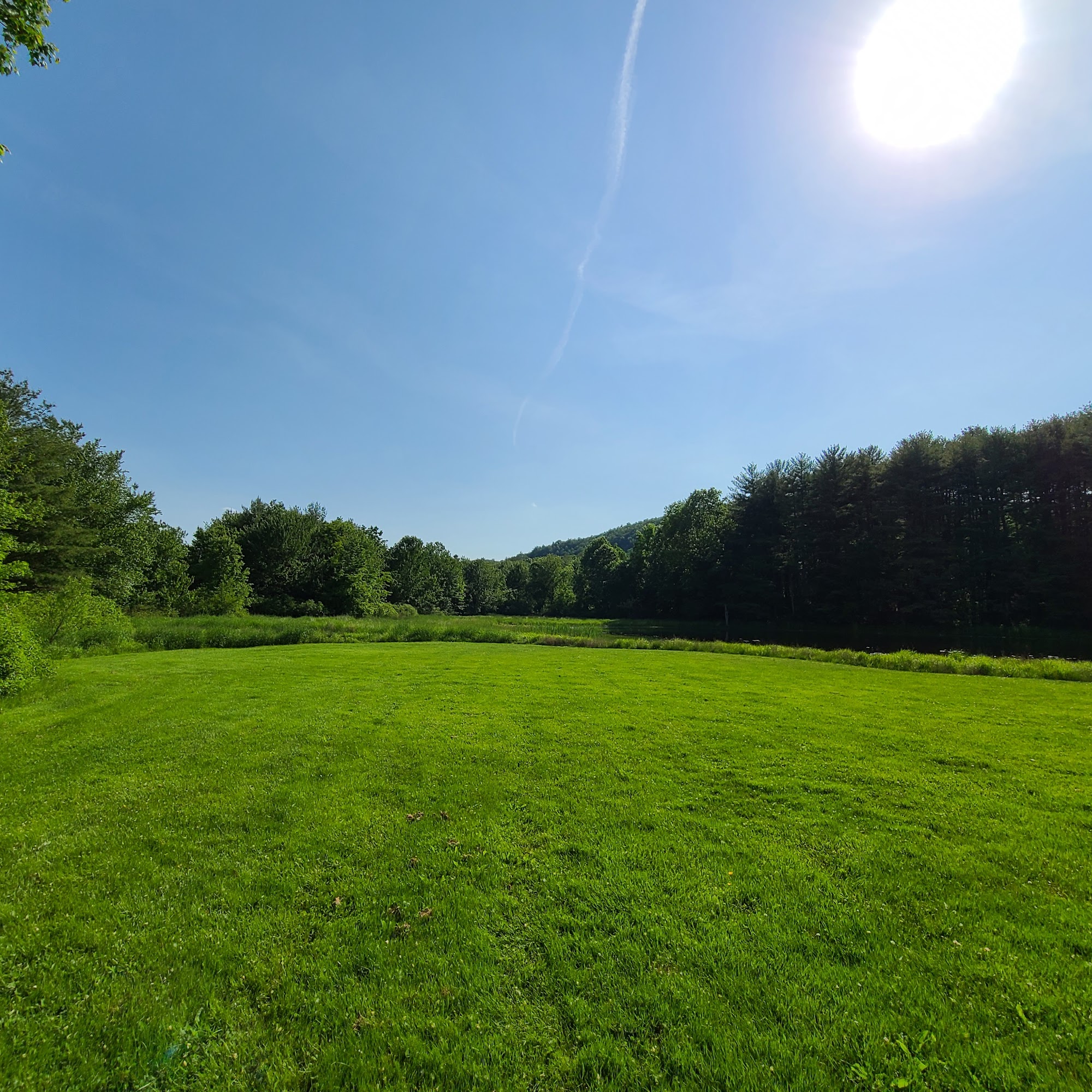 Orkil field West Simsbury