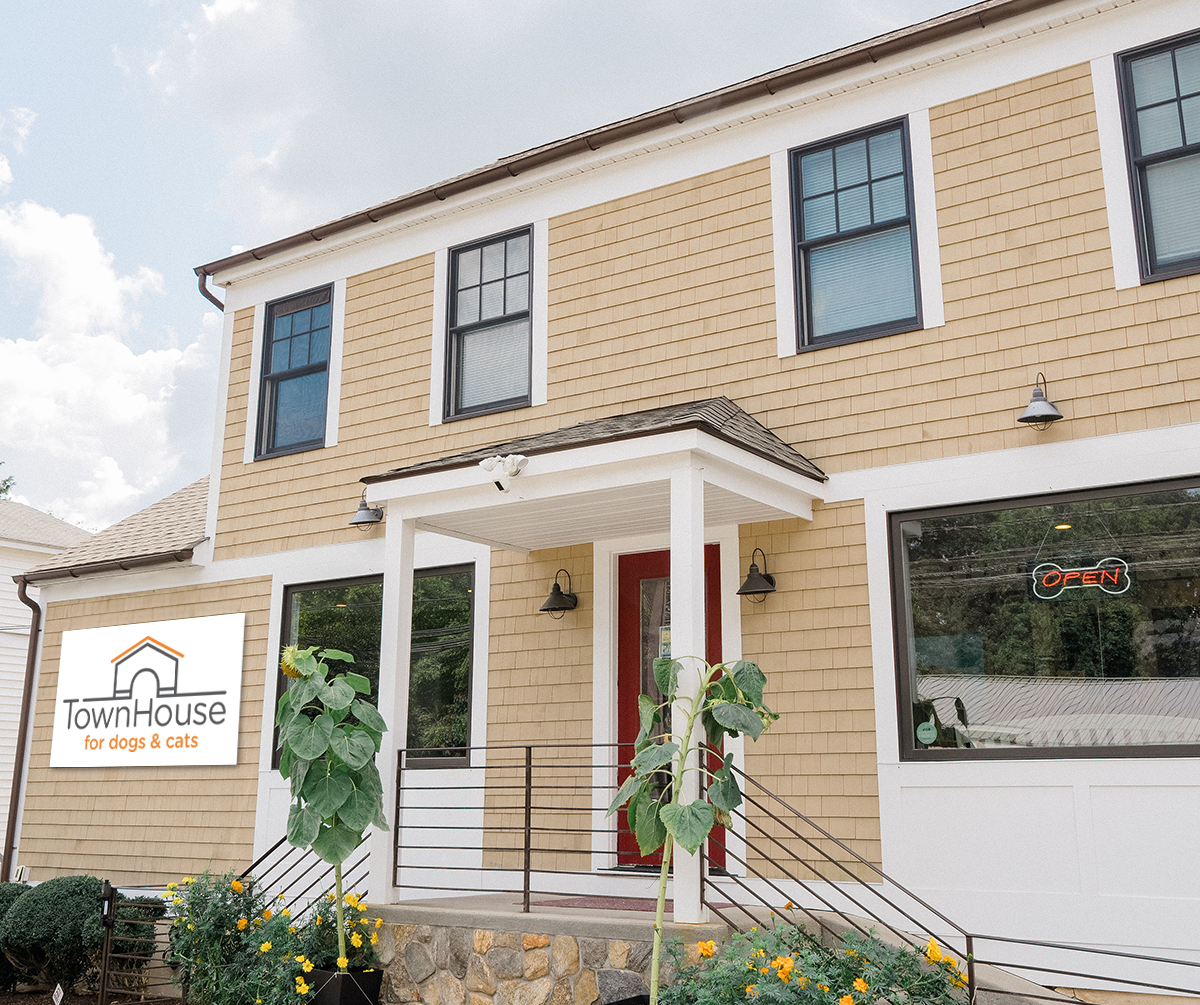 Town House For Dogs & Cats Westport