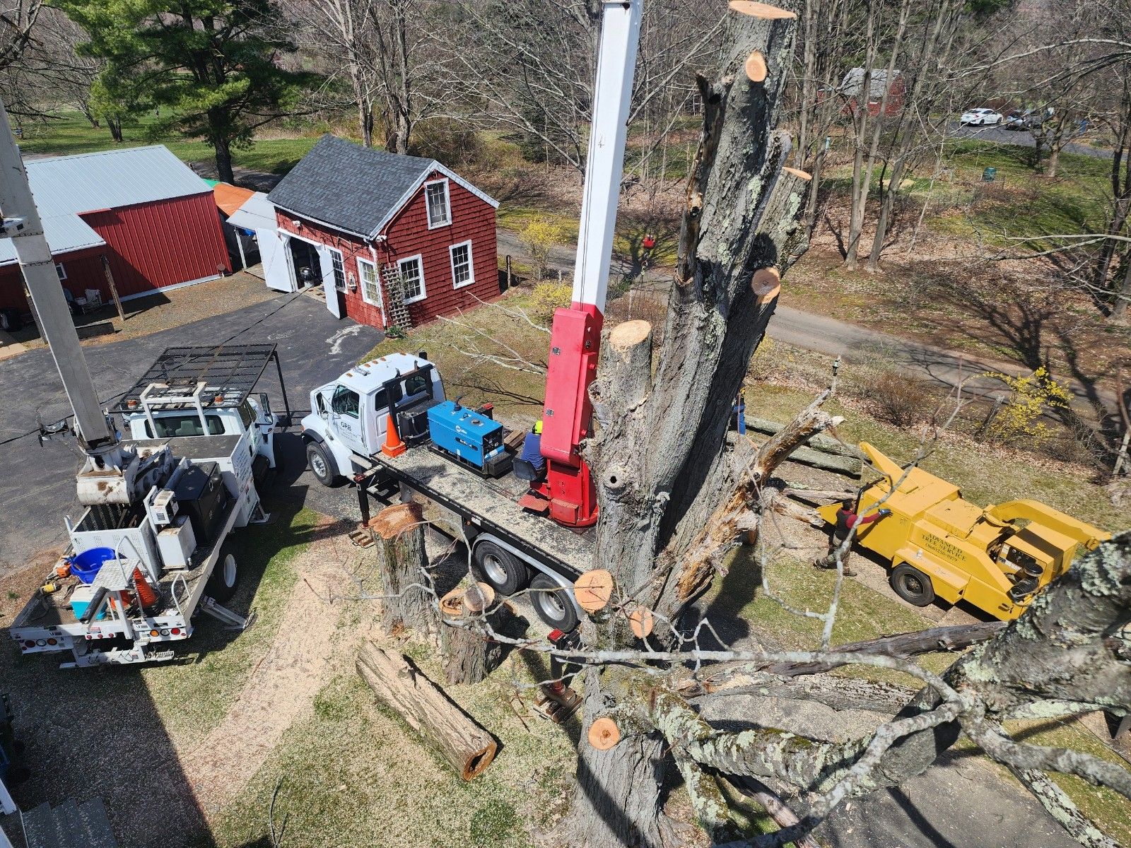 Advanced Tree Service