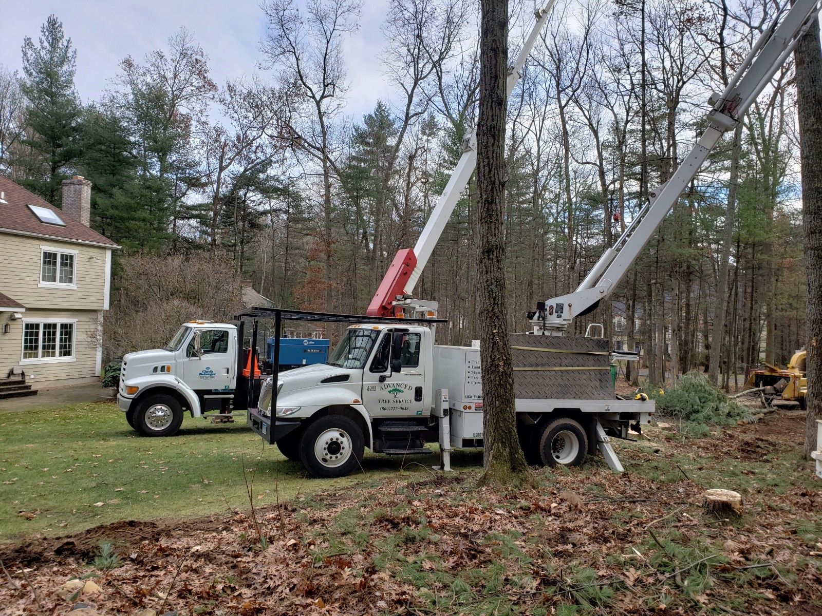 Advanced Tree Service
