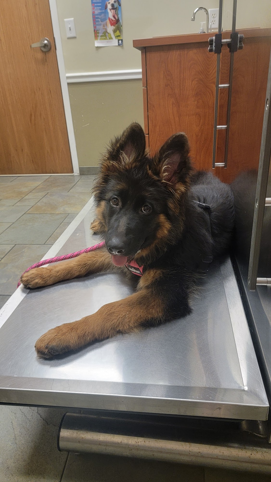 River Road Veterinary Center Willington