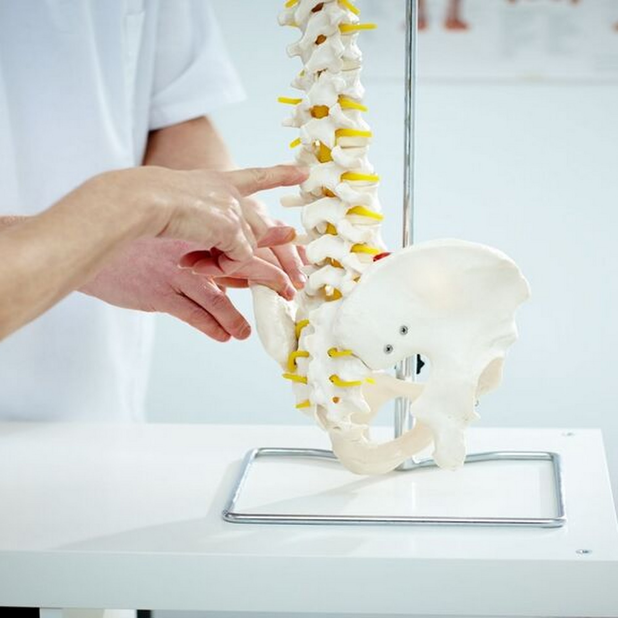 Williams Chiropractic Center 88 Elm St, Winsted Connecticut 06098