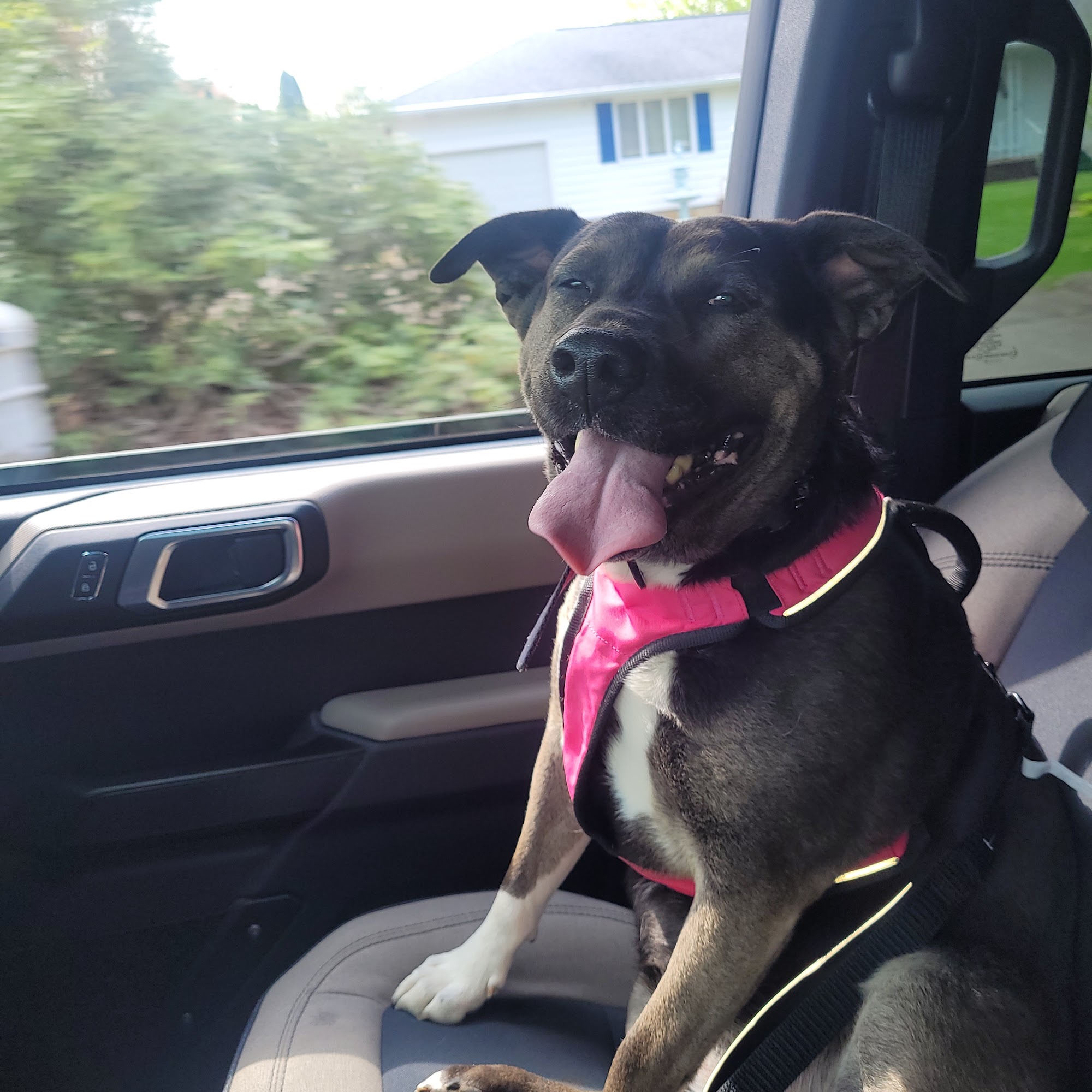 Wolcott Veterinary Clinic PC Wolcott