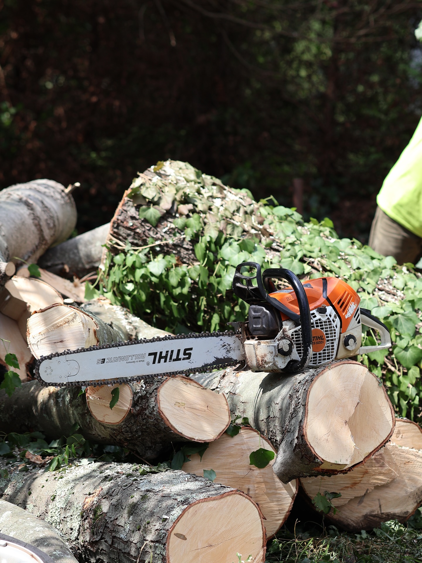 Capasso Tree Service & Landscaping Woodbridge