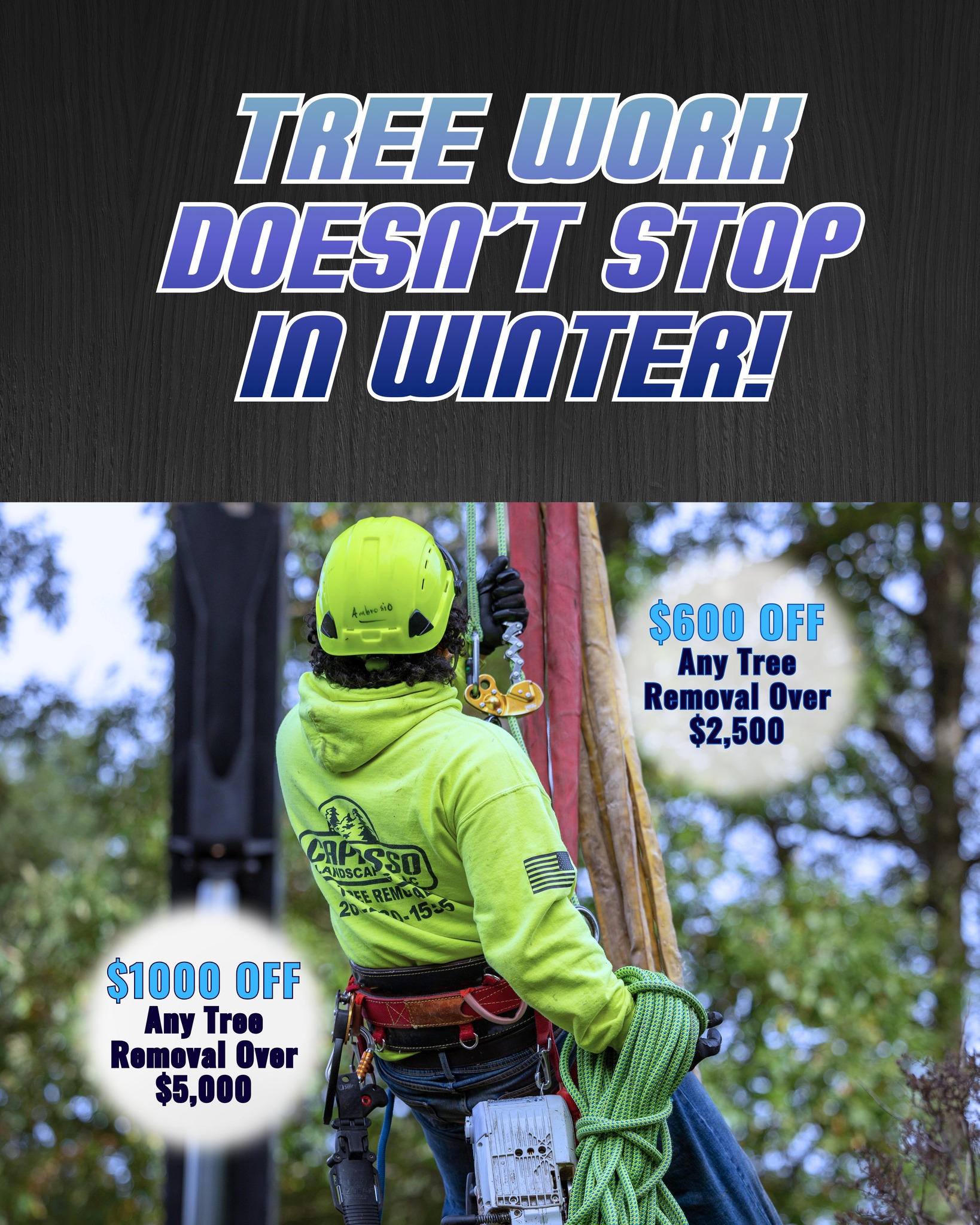 Capasso Tree Service & Landscaping Woodbridge