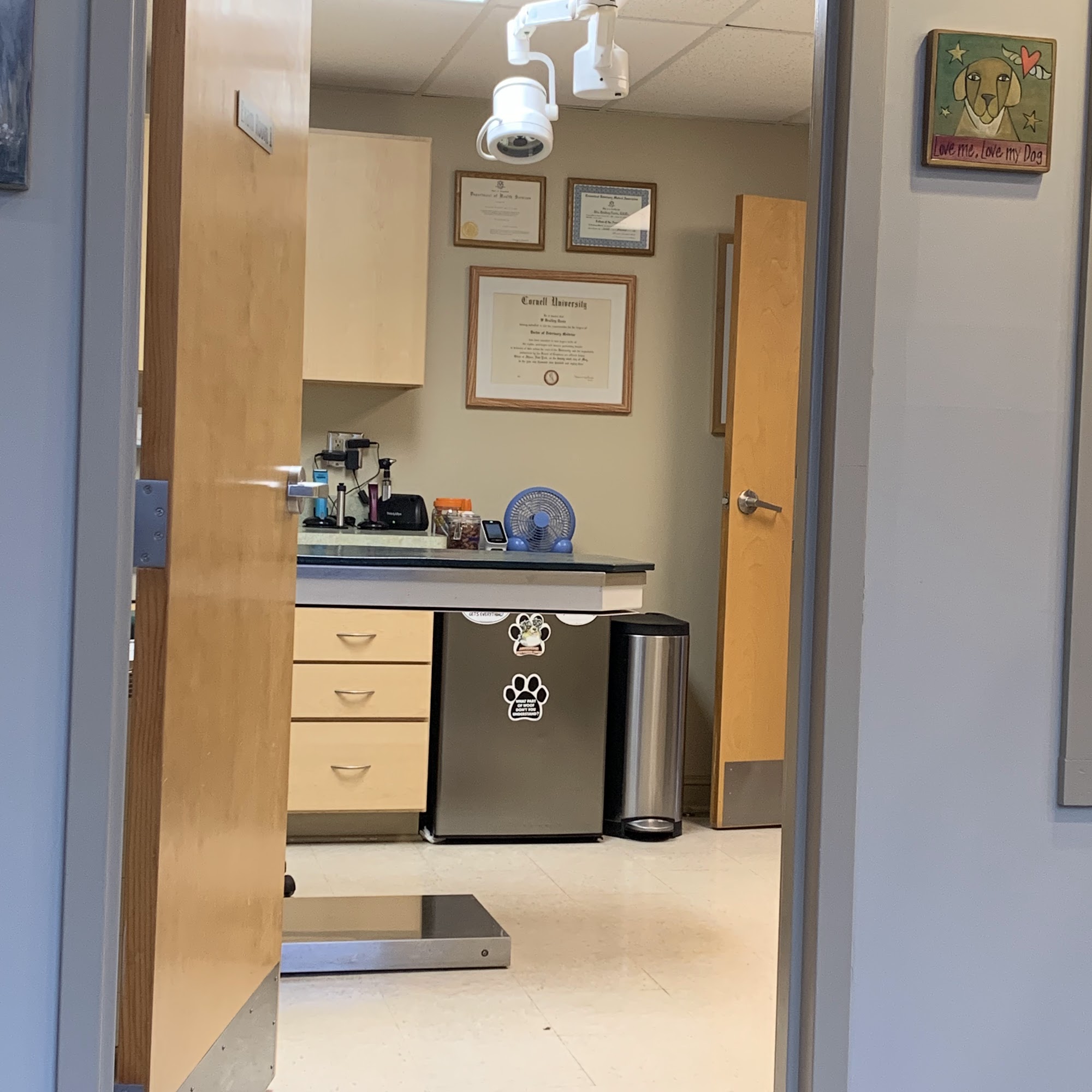 Davis Companion Animal Hospital Woodbury