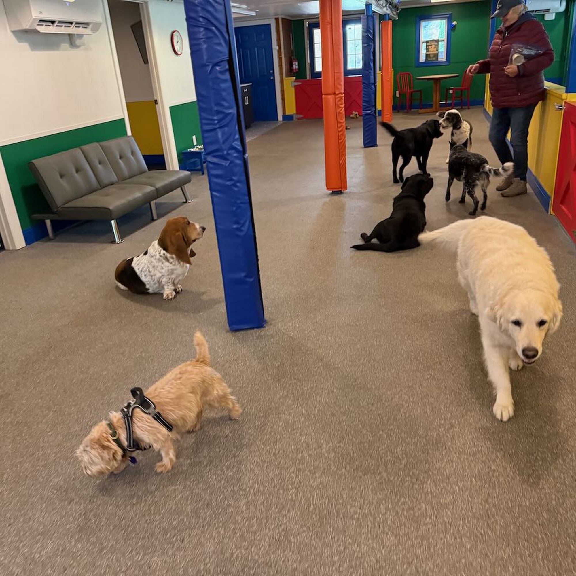 The Haute Dog Hotel Woodbury