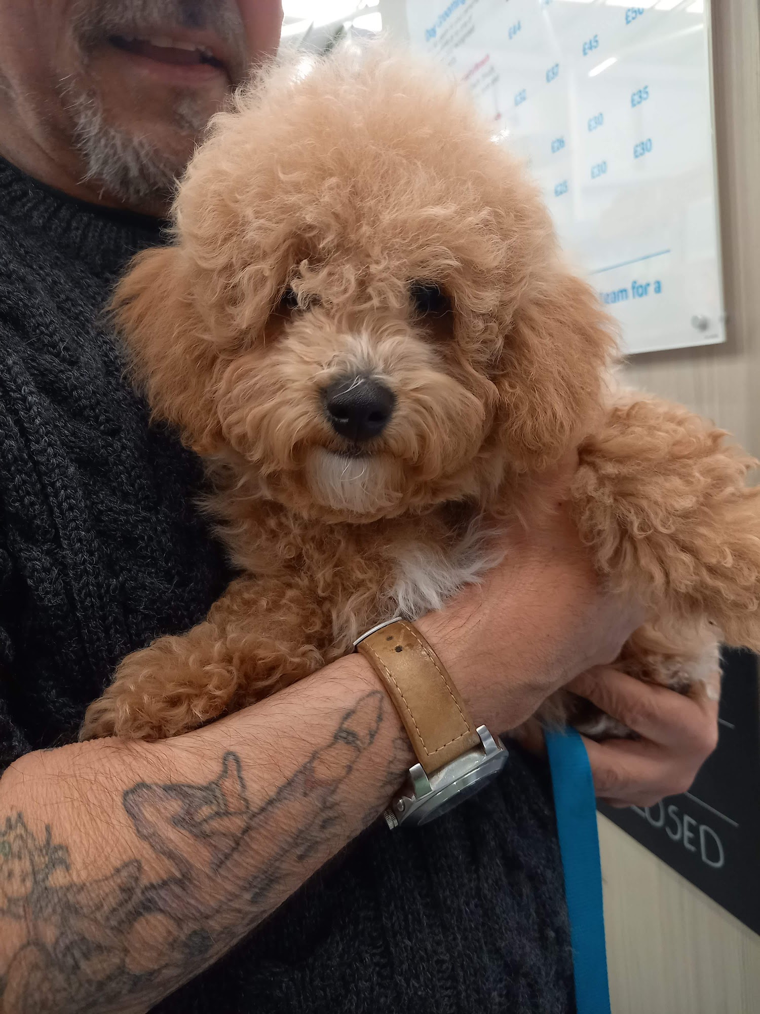 Pets at Home Carlisle