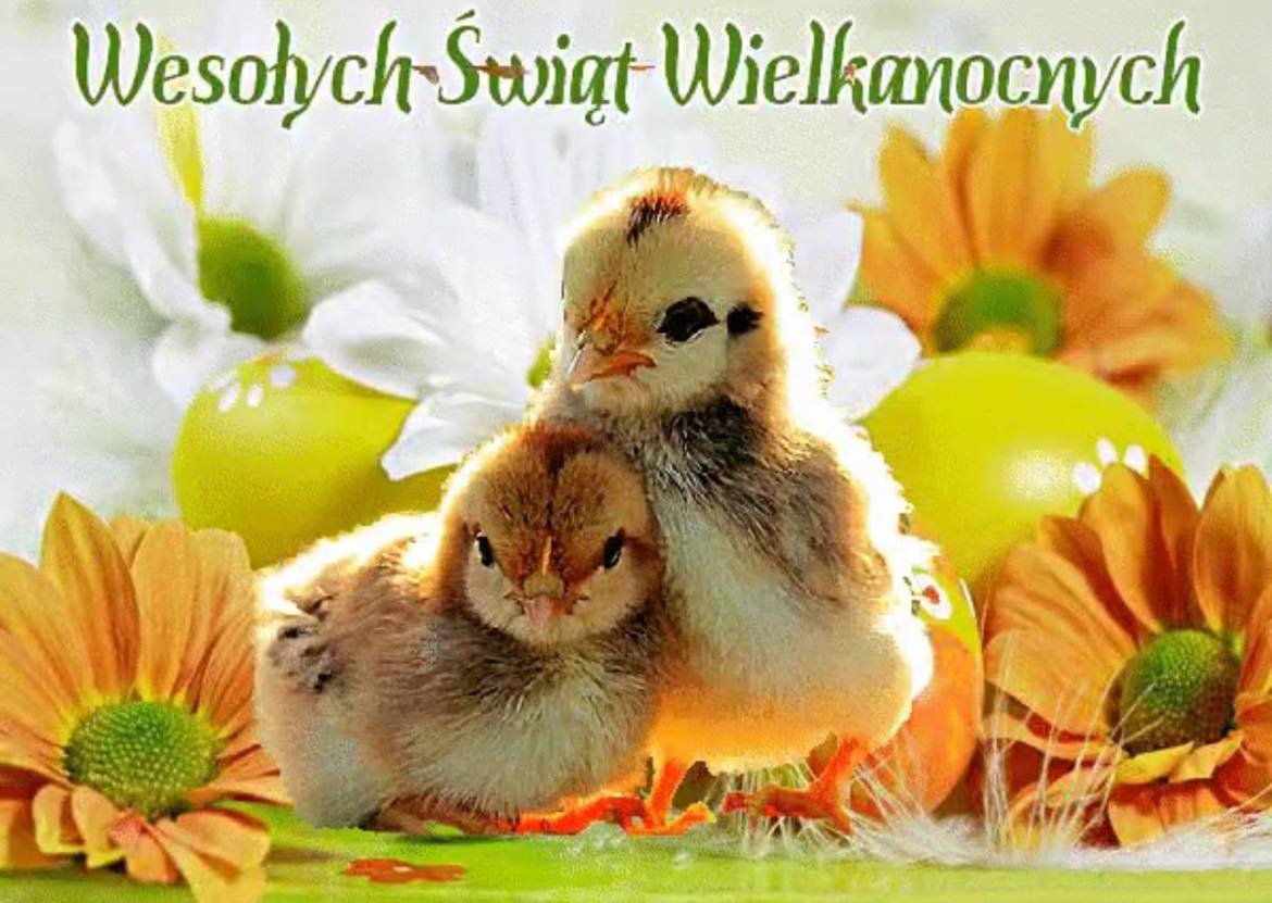 Zabka Kendal- Polish- Romanian- Latvian- Bulgarian- Lithuanian Food Store