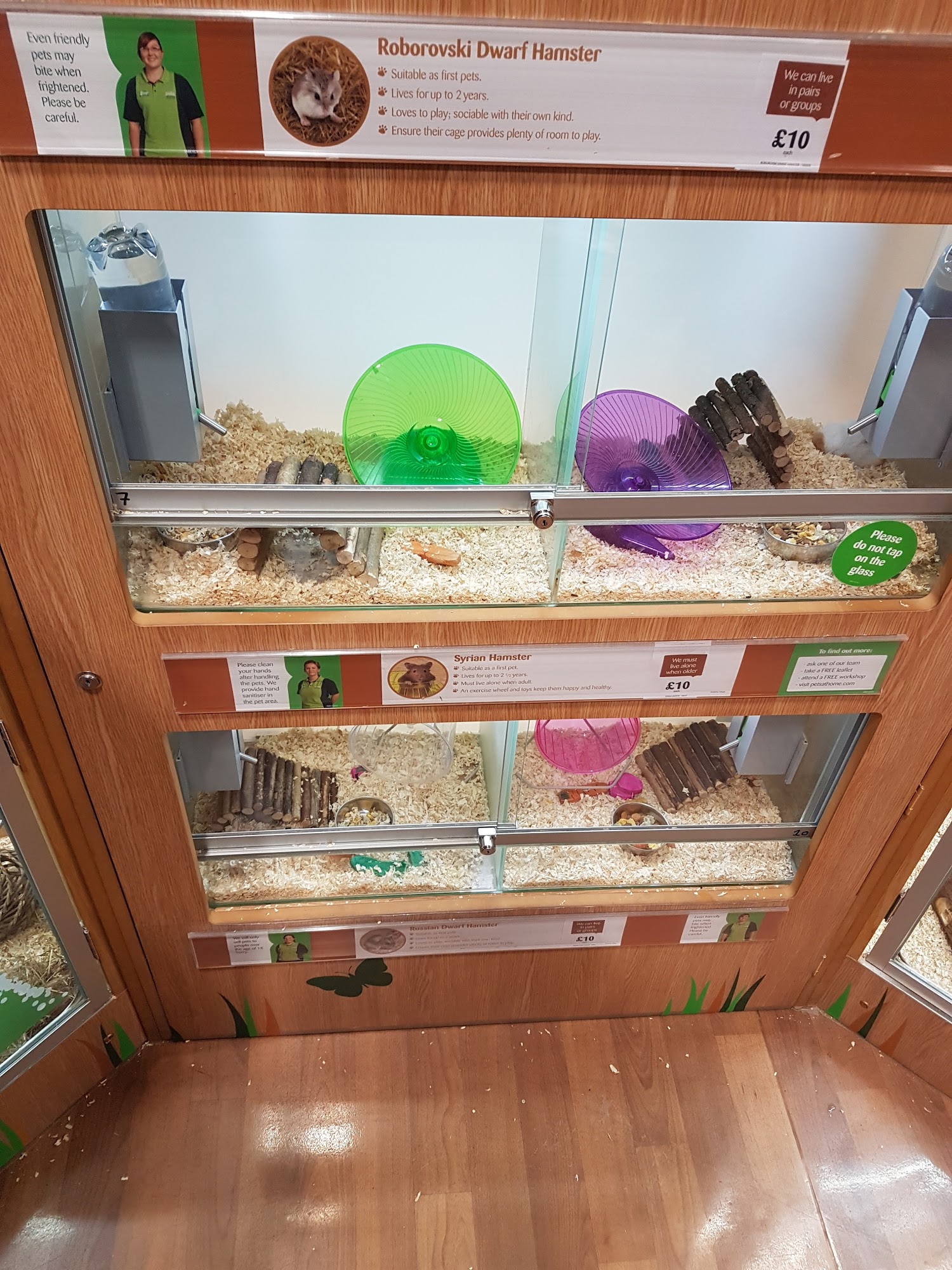 Pets at Home Kendal