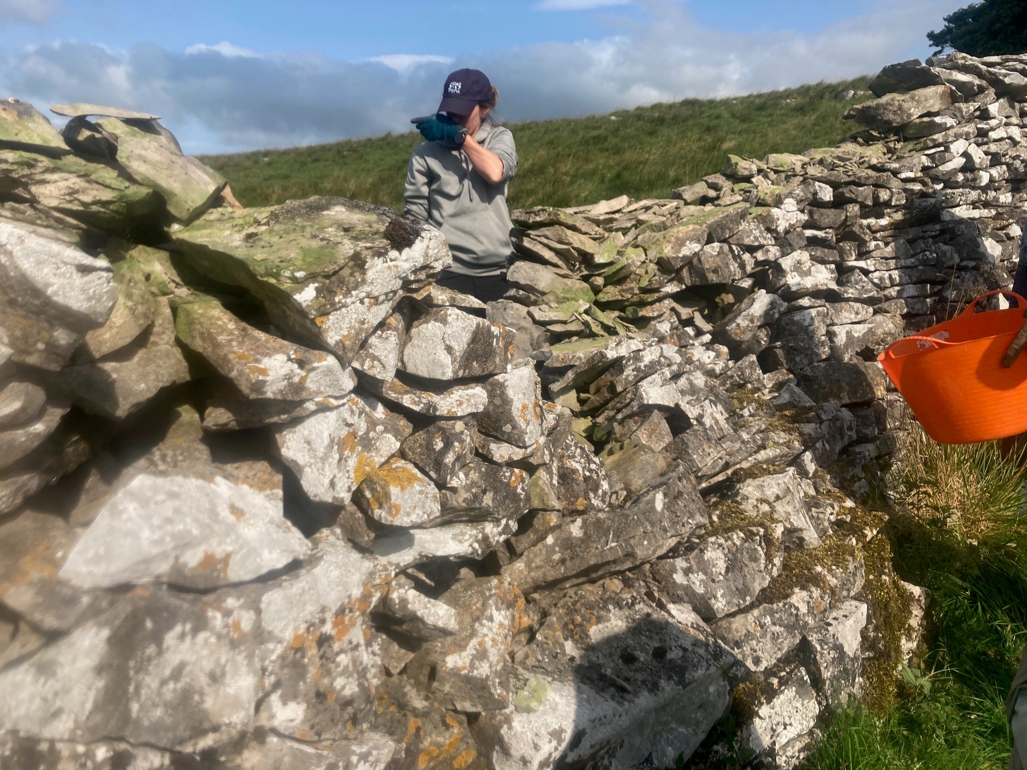 Friends Of The Lake District
