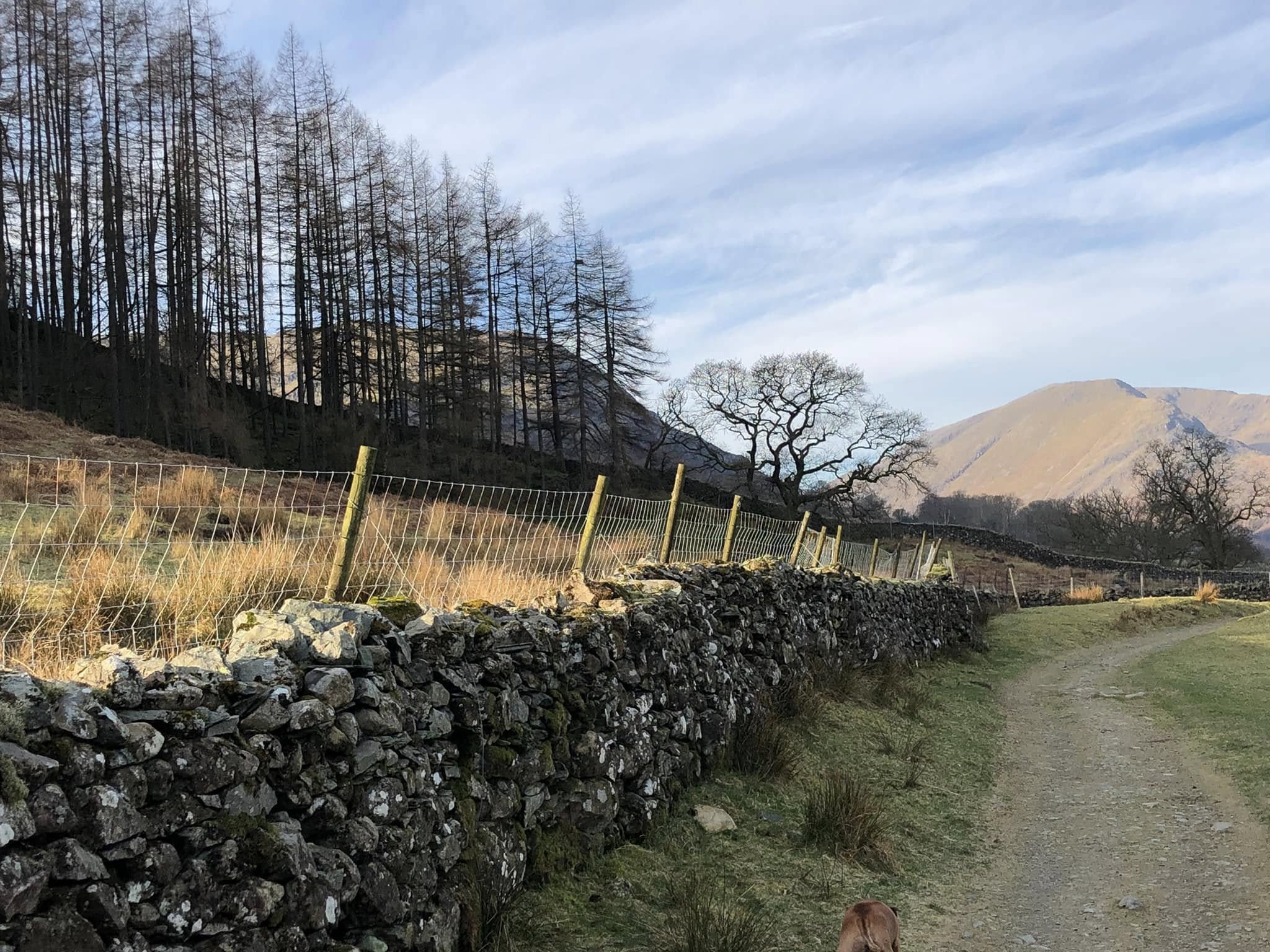 The Langstrath Country Inn