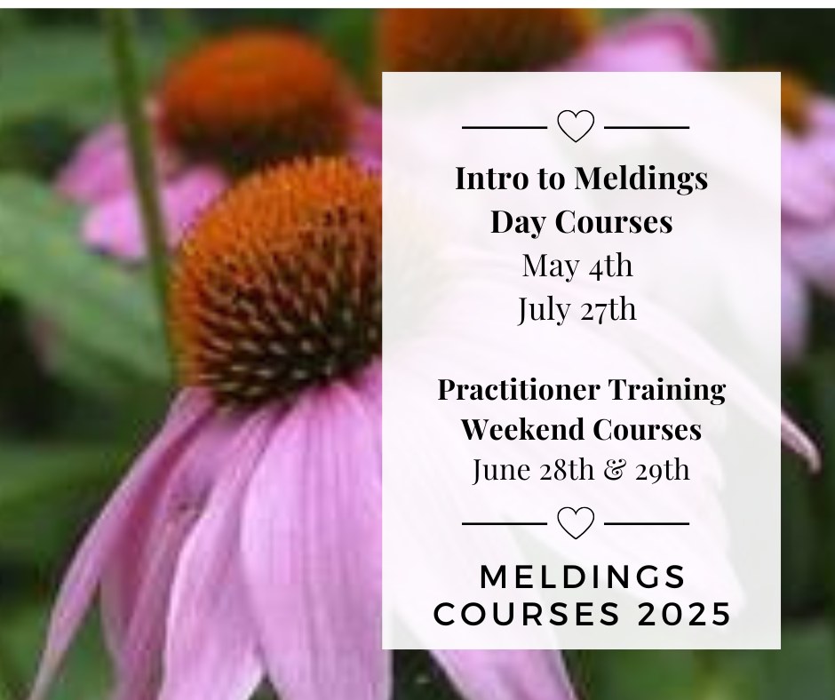The Medicine Garden