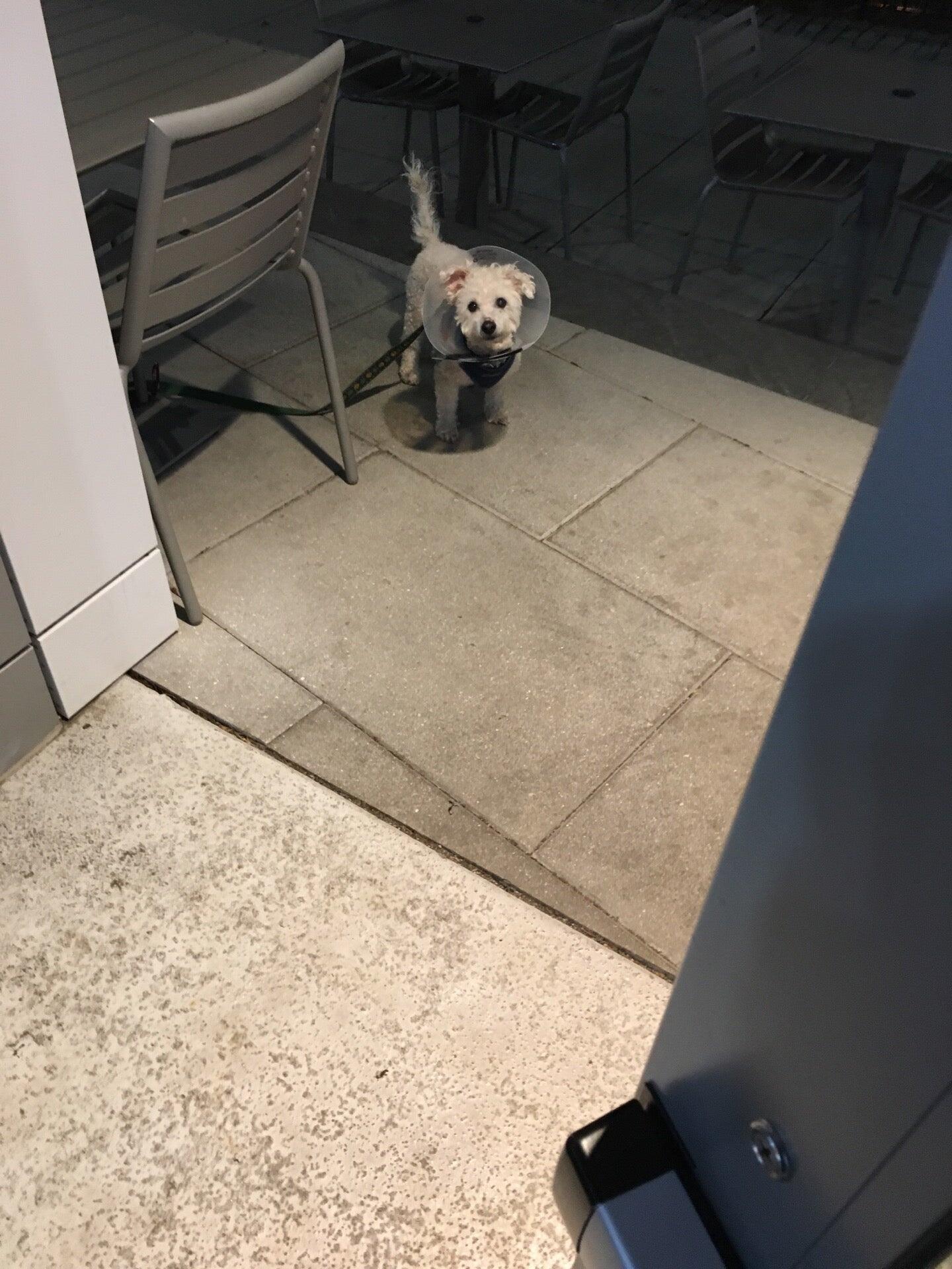 Photo credit: nextdoor