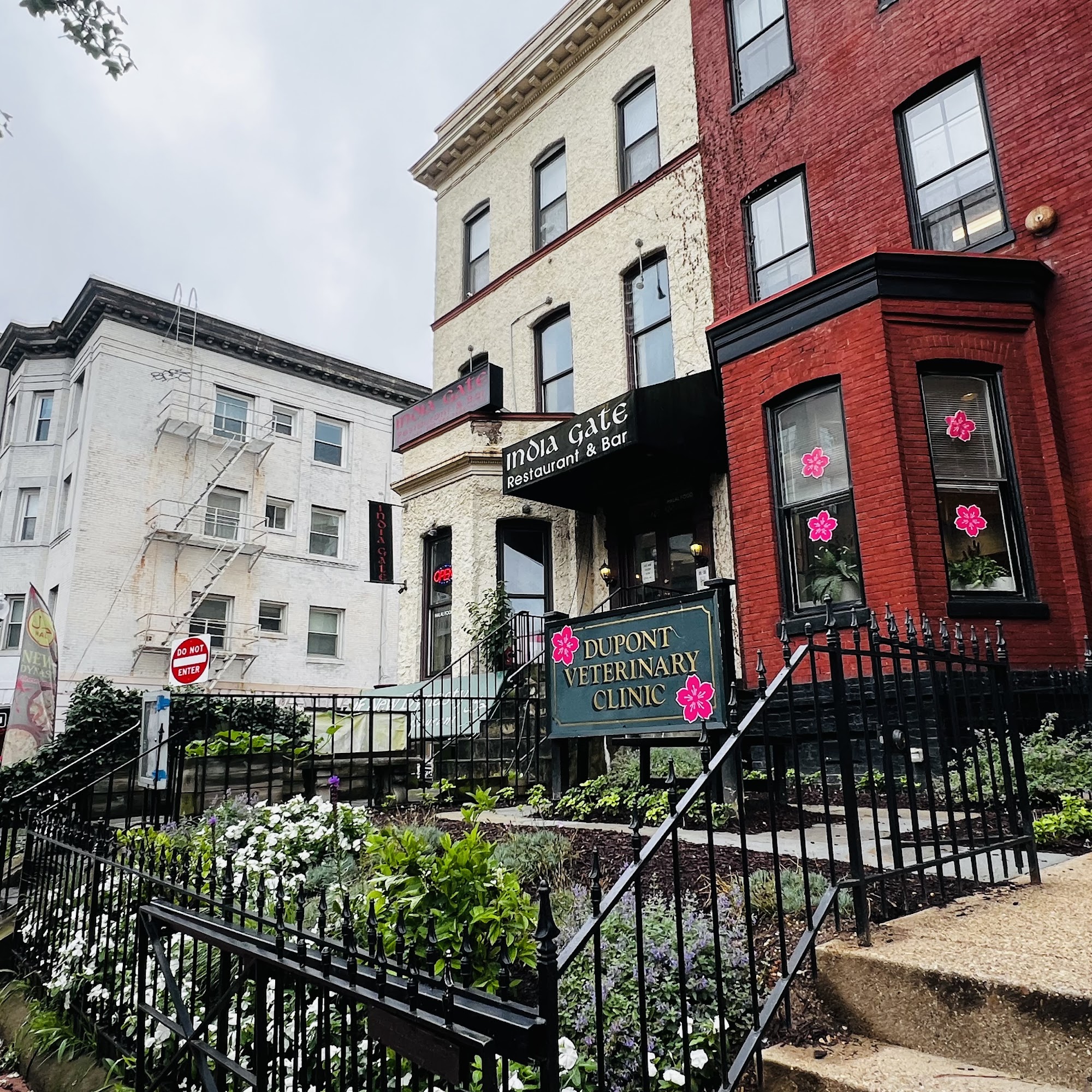 Dupont Veterinary Clinic Washington