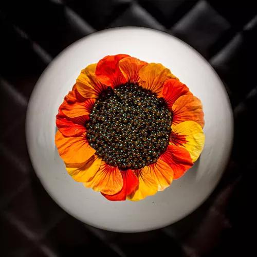 Photo credit: michelin