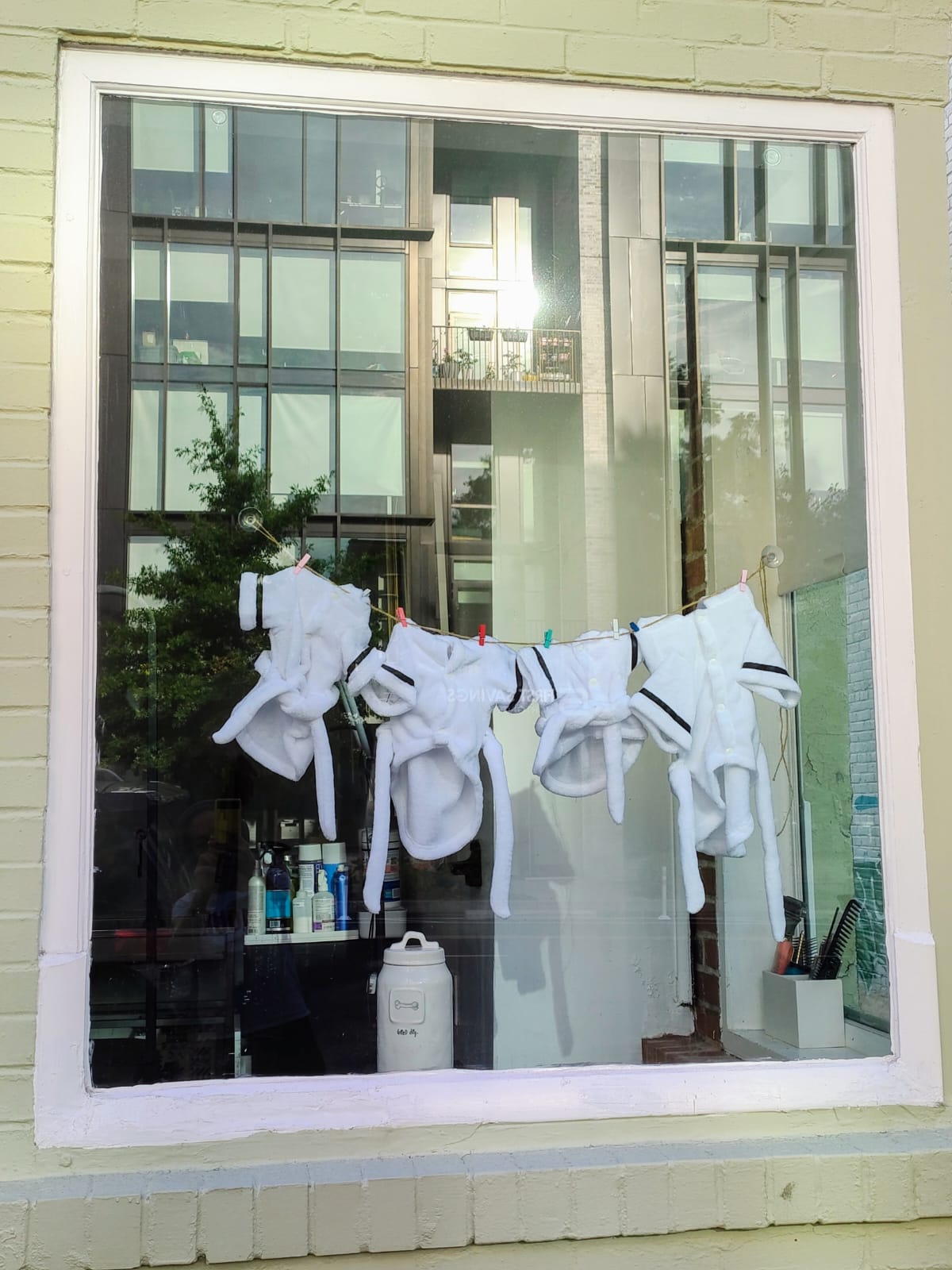 DC Petropolis Washington