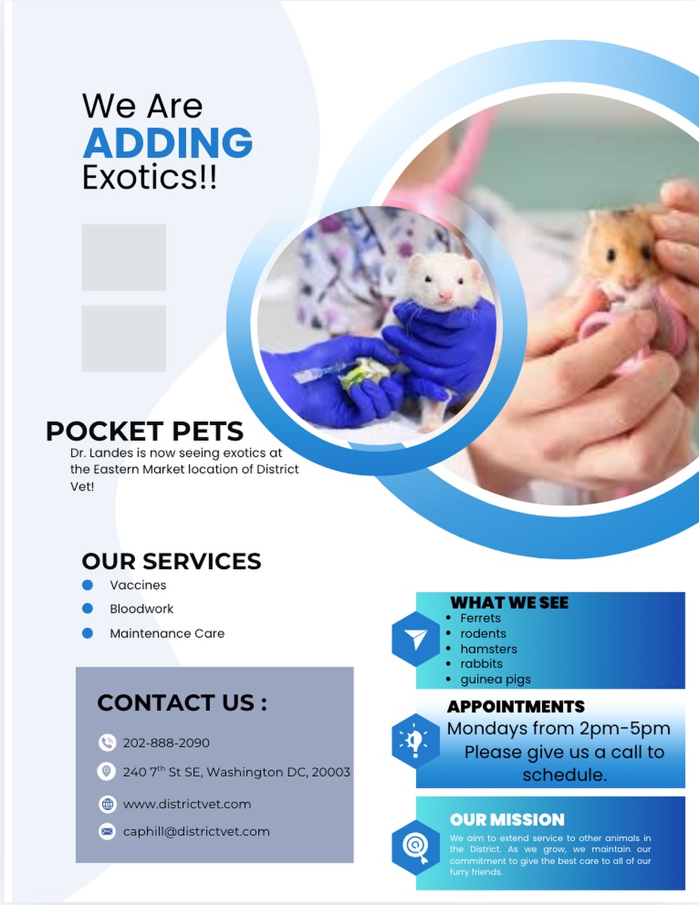 District Veterinary Hospital - Navy Yard Washington