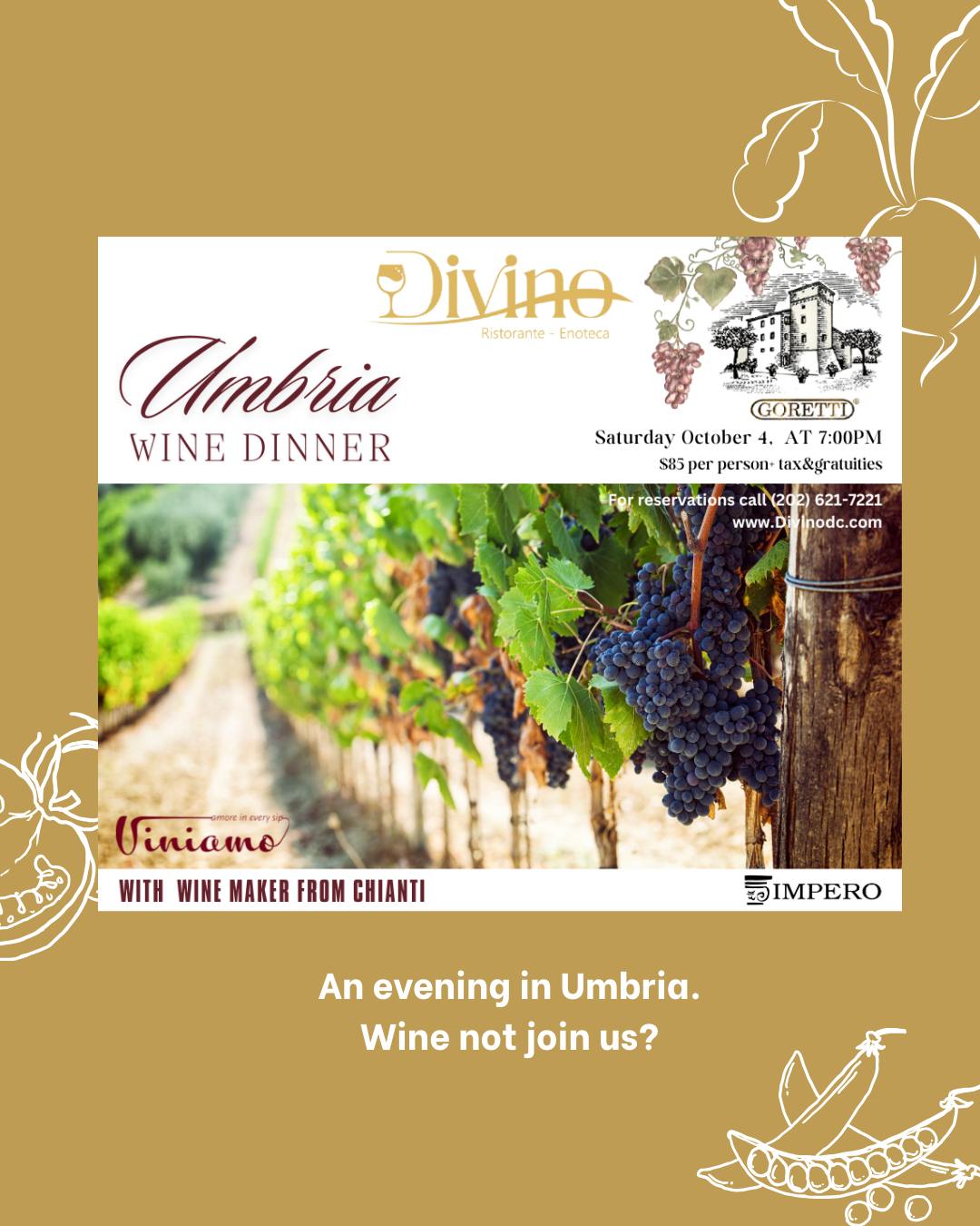 DIVINO Ristorante Enoteca