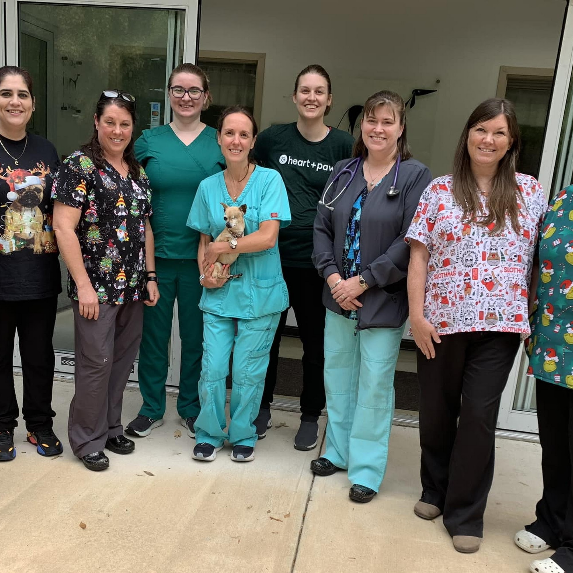 Animal Veterinary Center Bear