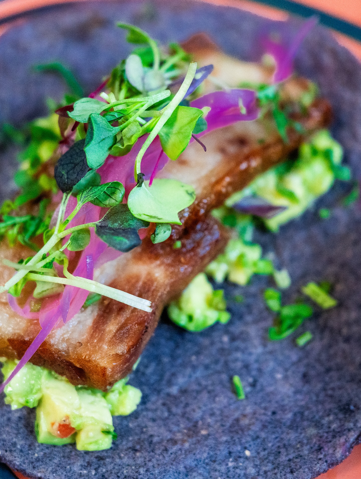 Plaza Azteca Mexican Restaurant · Bear Bear