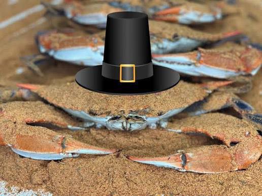 Mickey's Family Crab House Bethany Beach