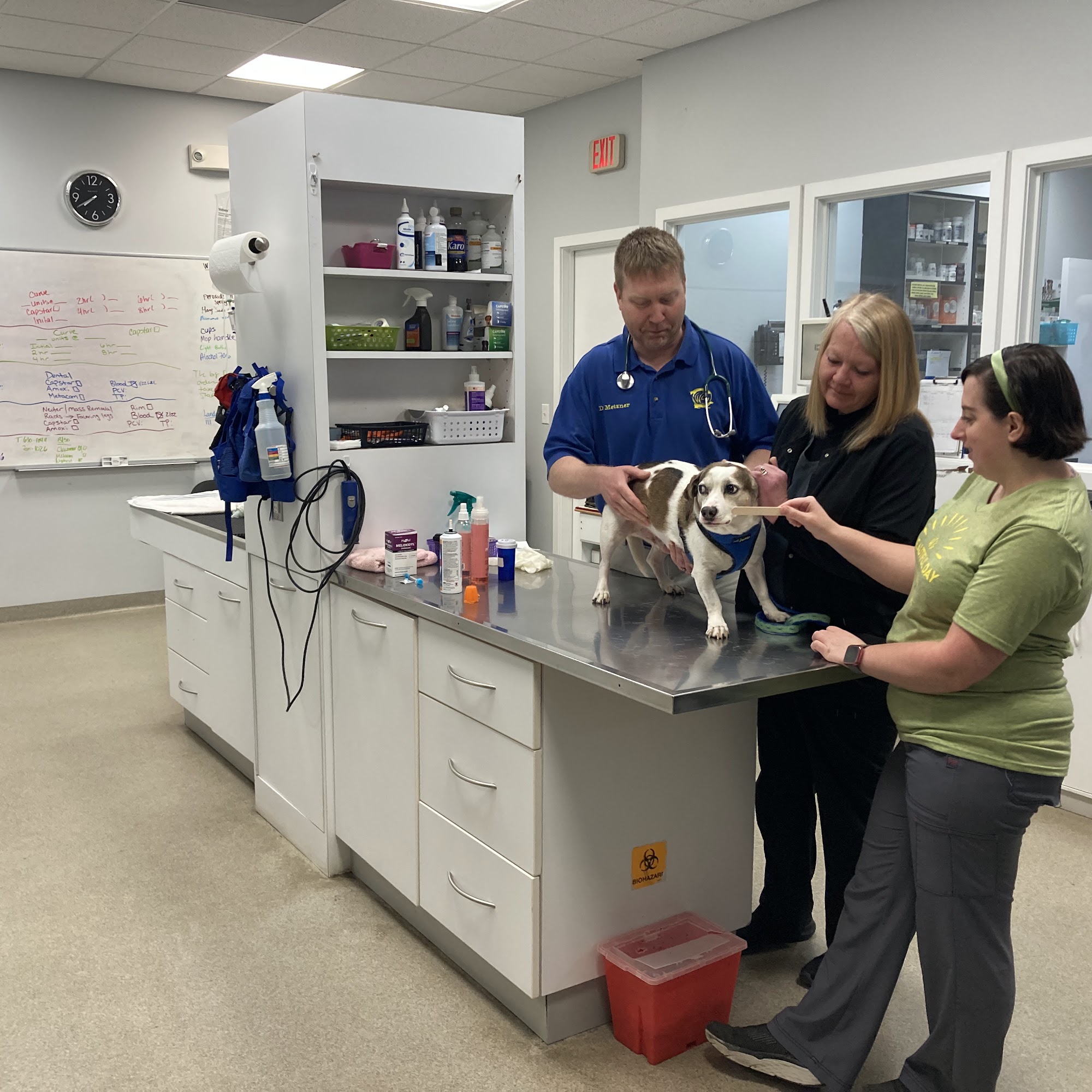 Western Sussex Animal Hospital, Inc. Bridgeville