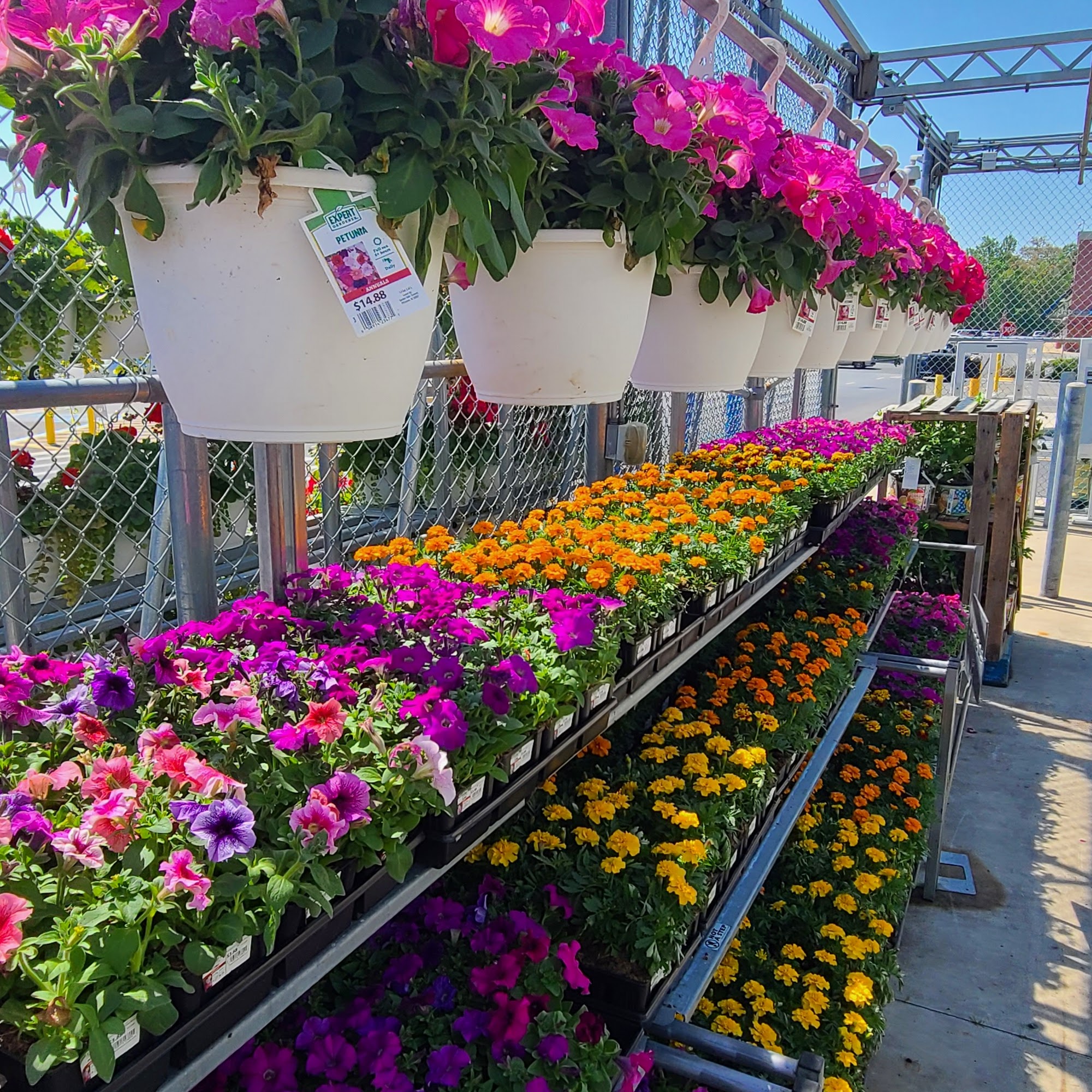 Walmart Garden Center Camden