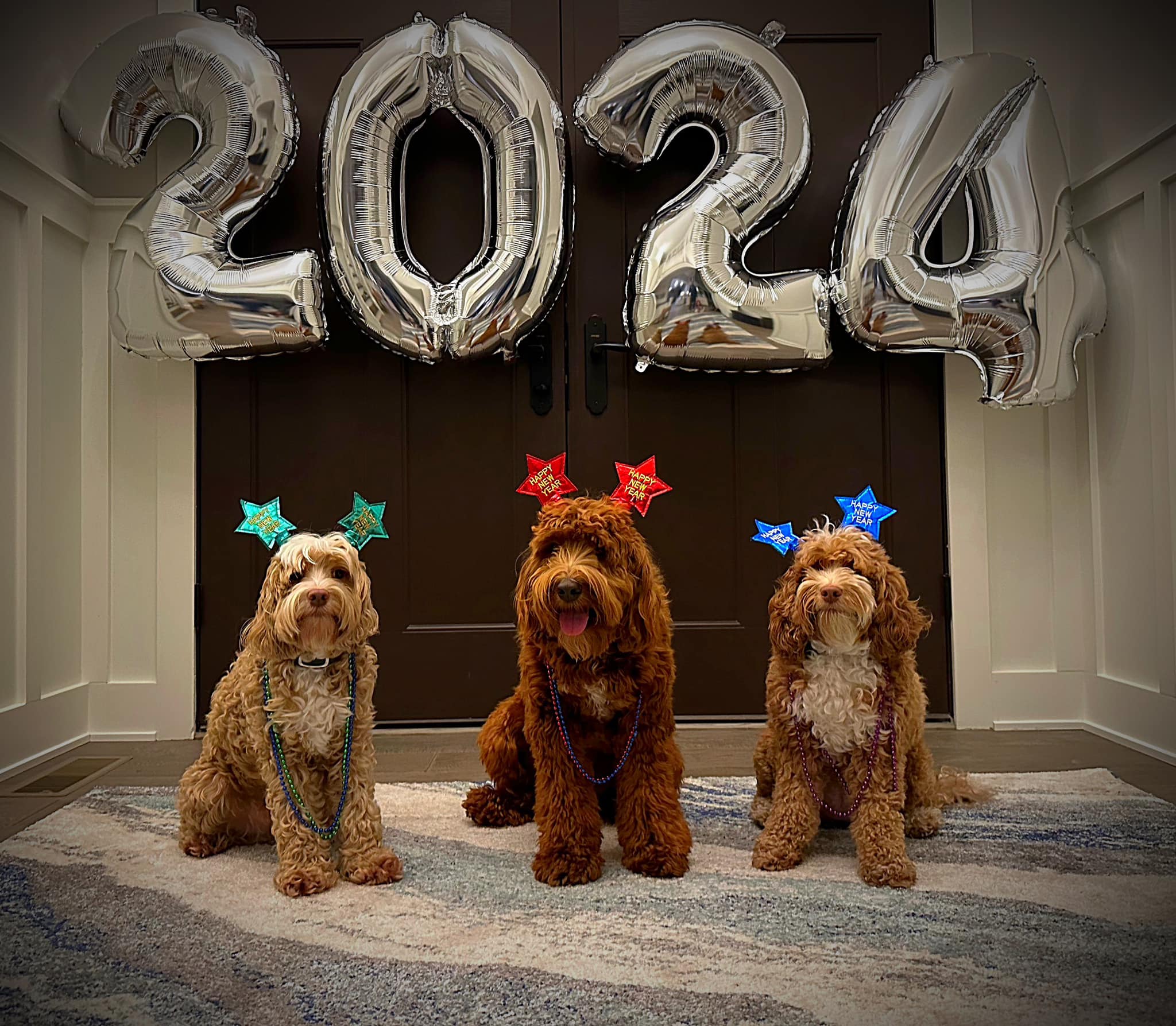 Dover Family Eye Care