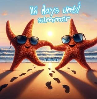 Dover Family Eye Care