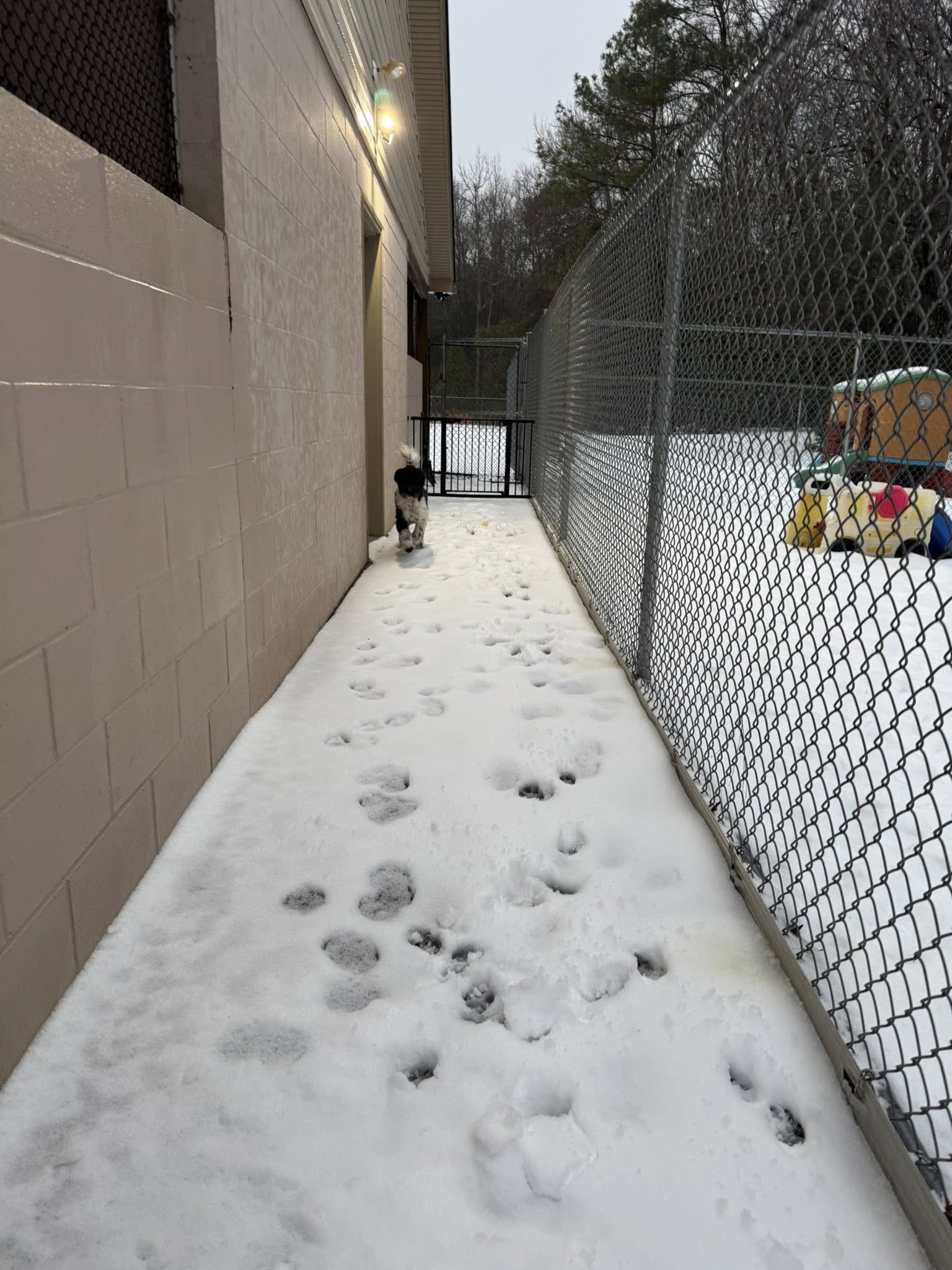 Happy Tails Pet Retreat Georgetown