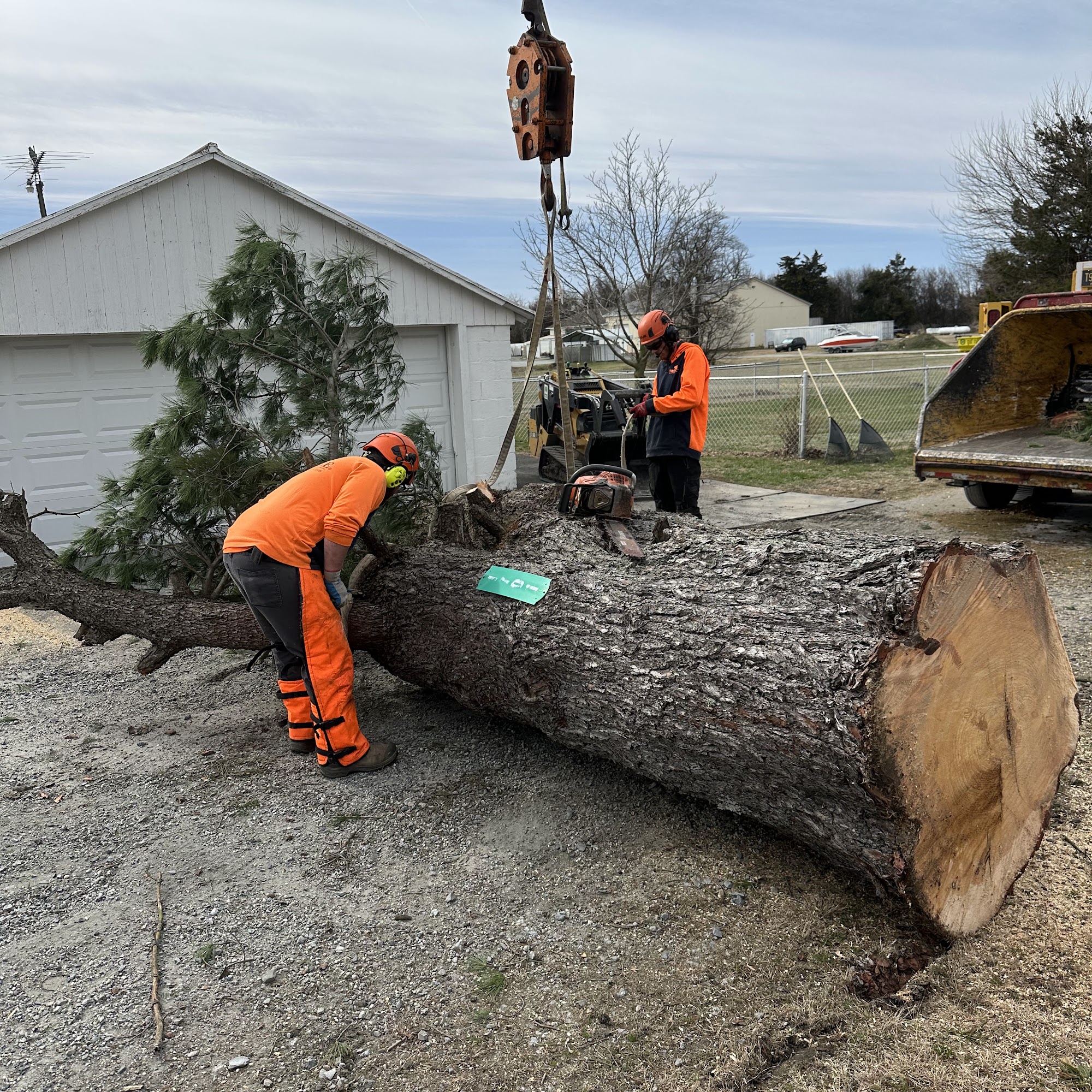 Sussex Tree Inc
