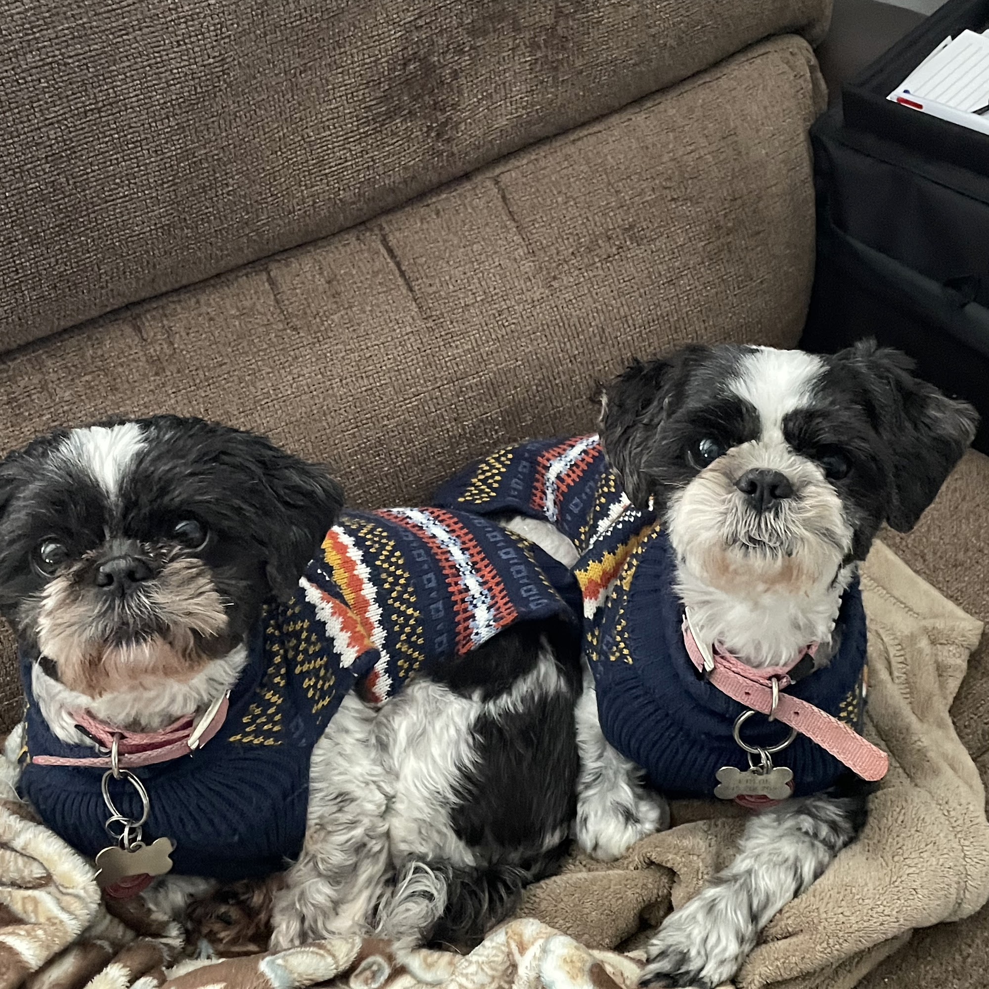 Brandywine Veterinary Hospital - Greenville Greenville