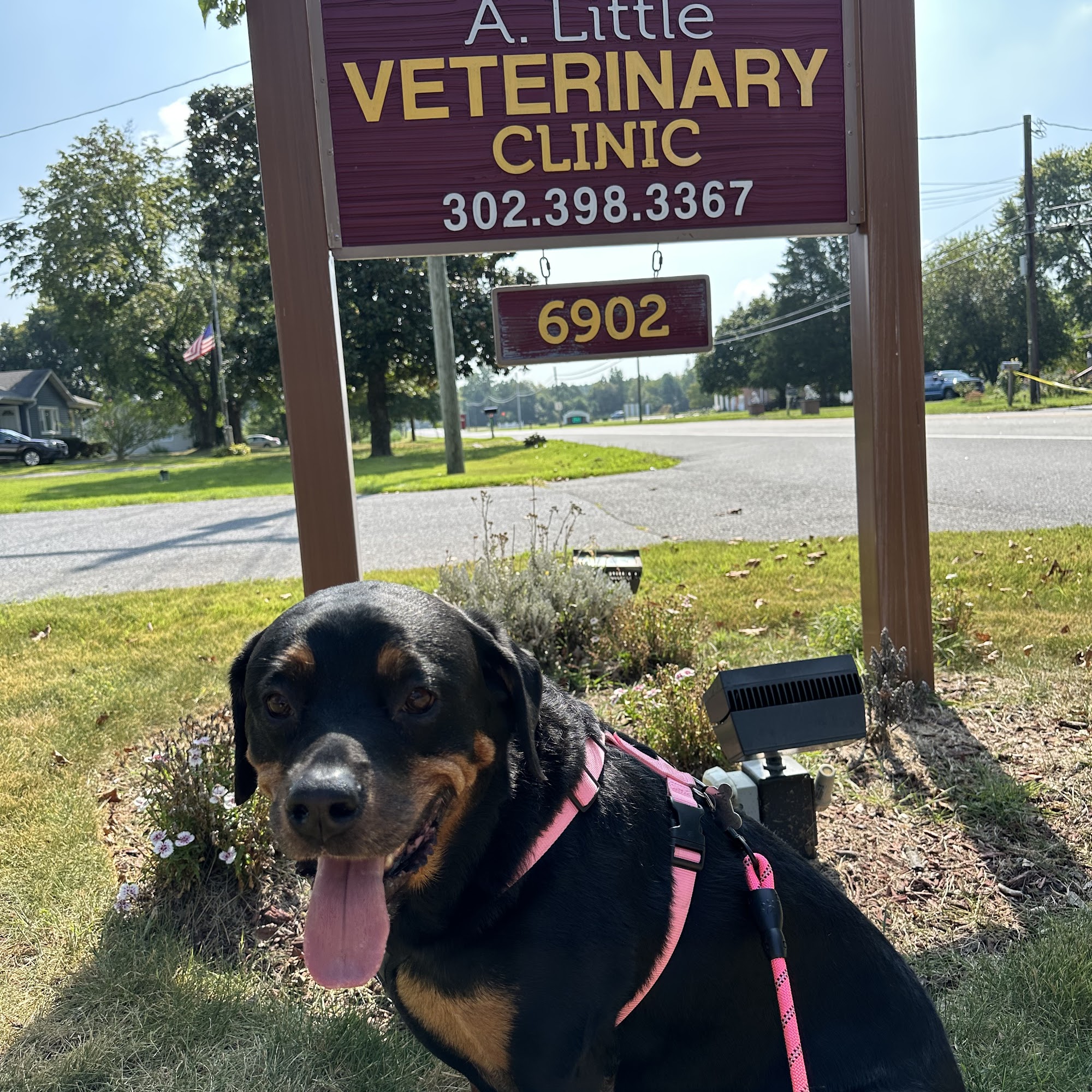 A. Little Veterinary Clinic Harrington