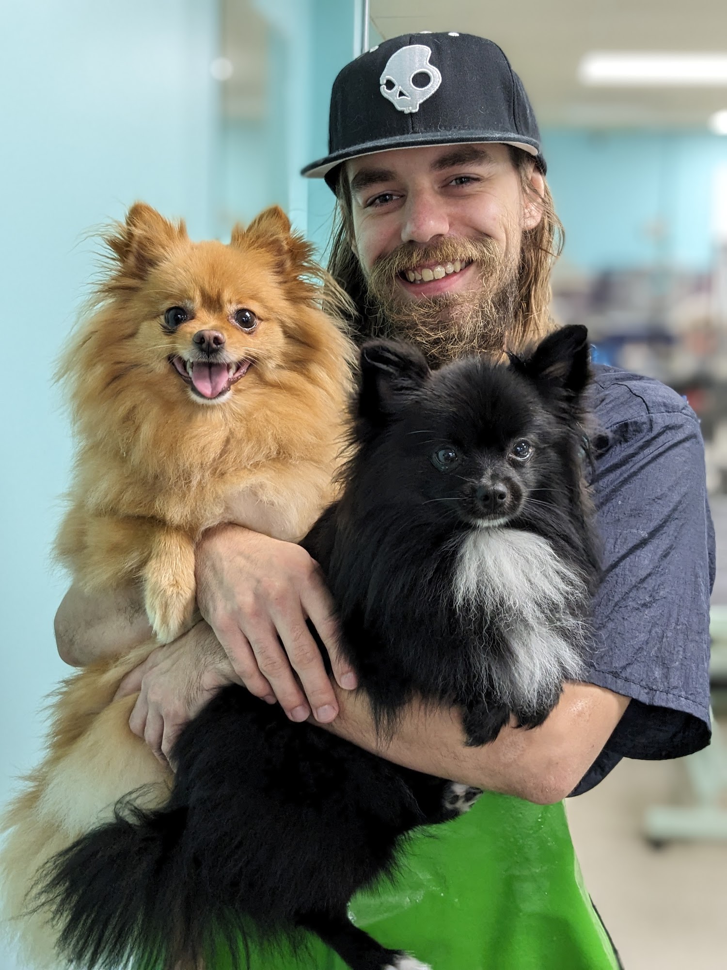 Happy Tails Dog Grooming Harrington