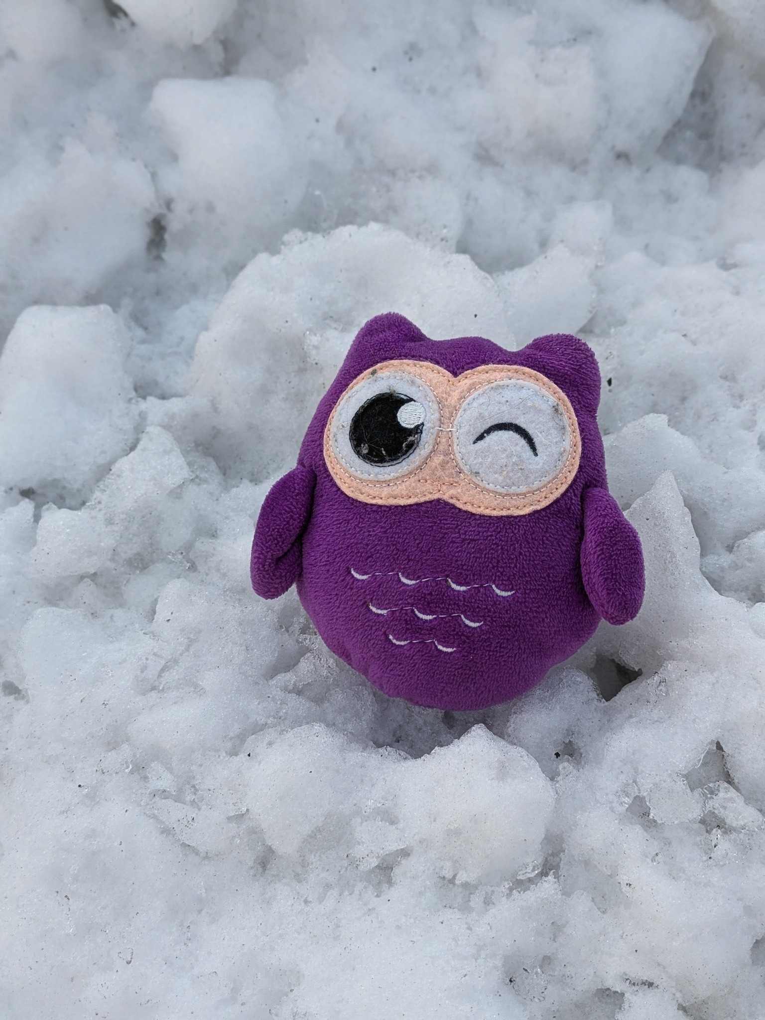 Happy Tails Dog Grooming Harrington