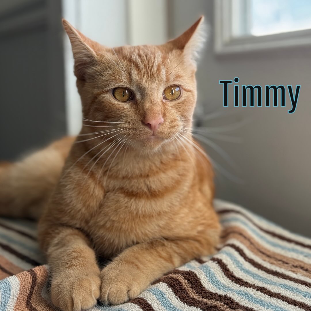 Woodside Farm Creamery Hockessin