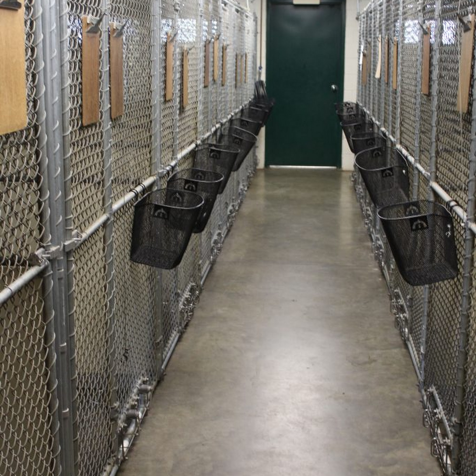 Hockessin Animal Hospital Hockessin